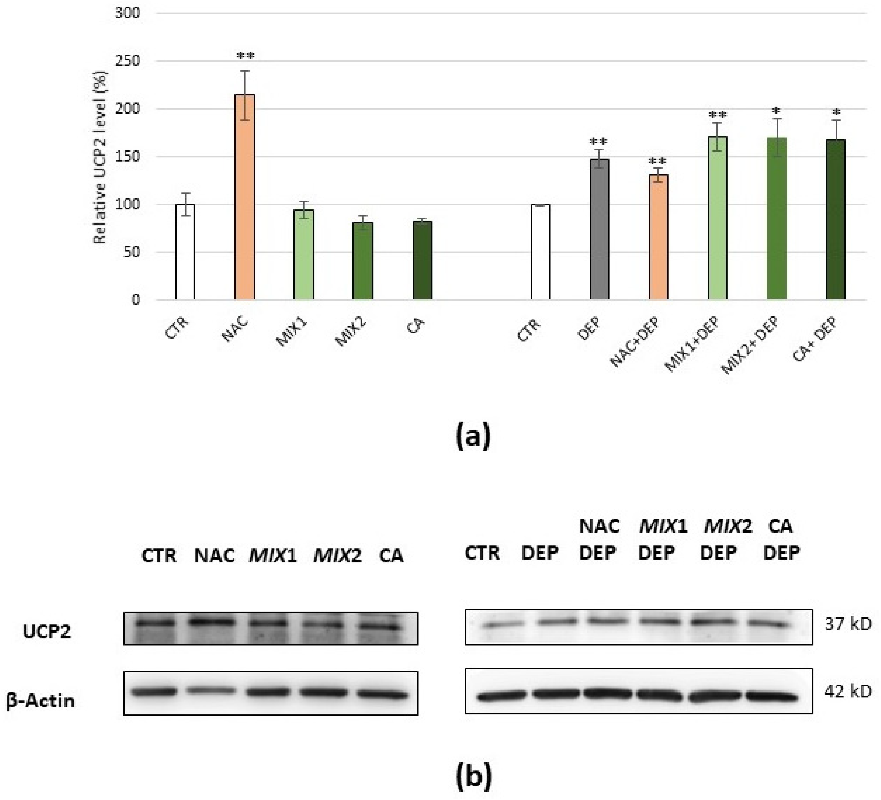 Antioxidants 10 01169 g009