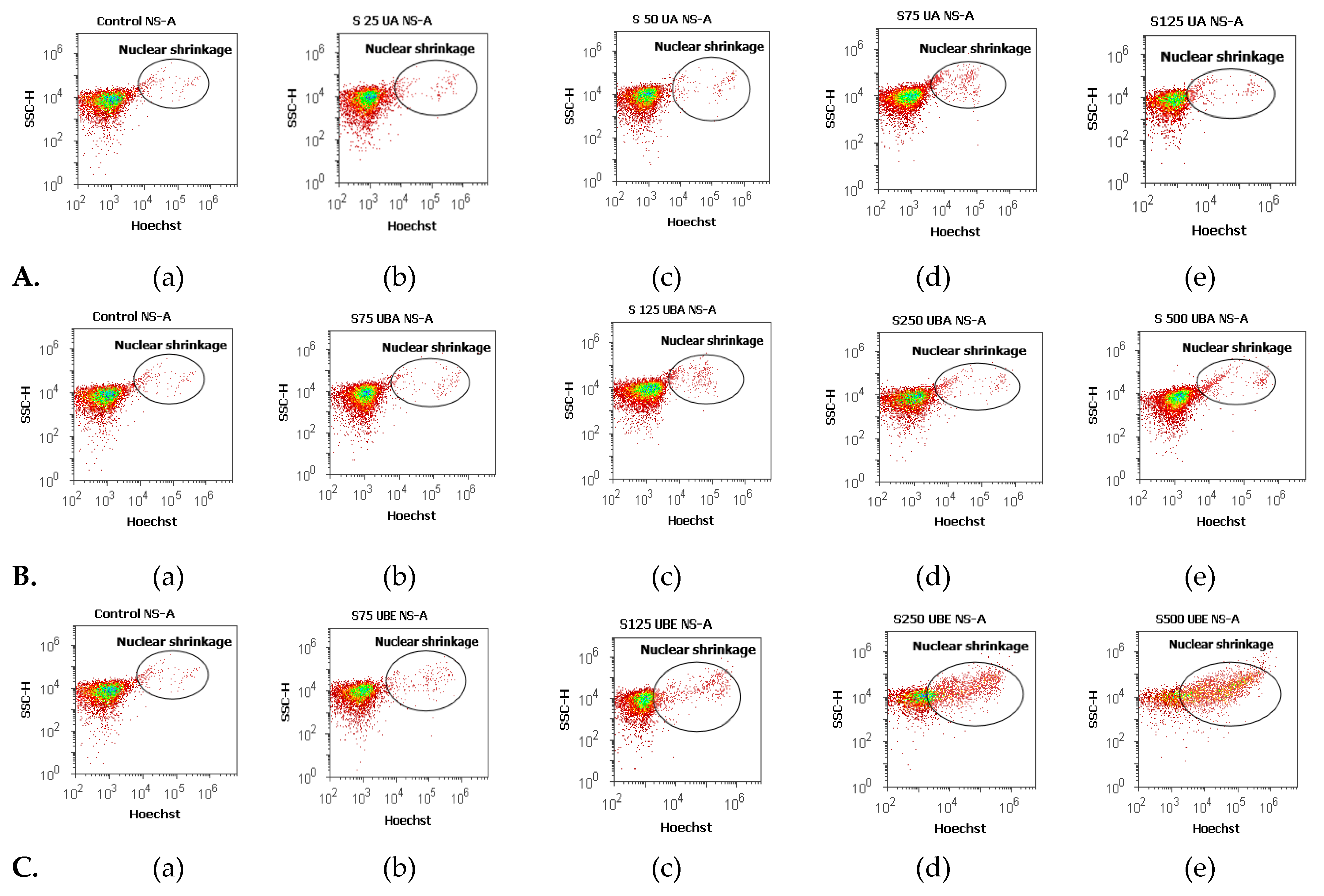 Antioxidants 10 01171 g006