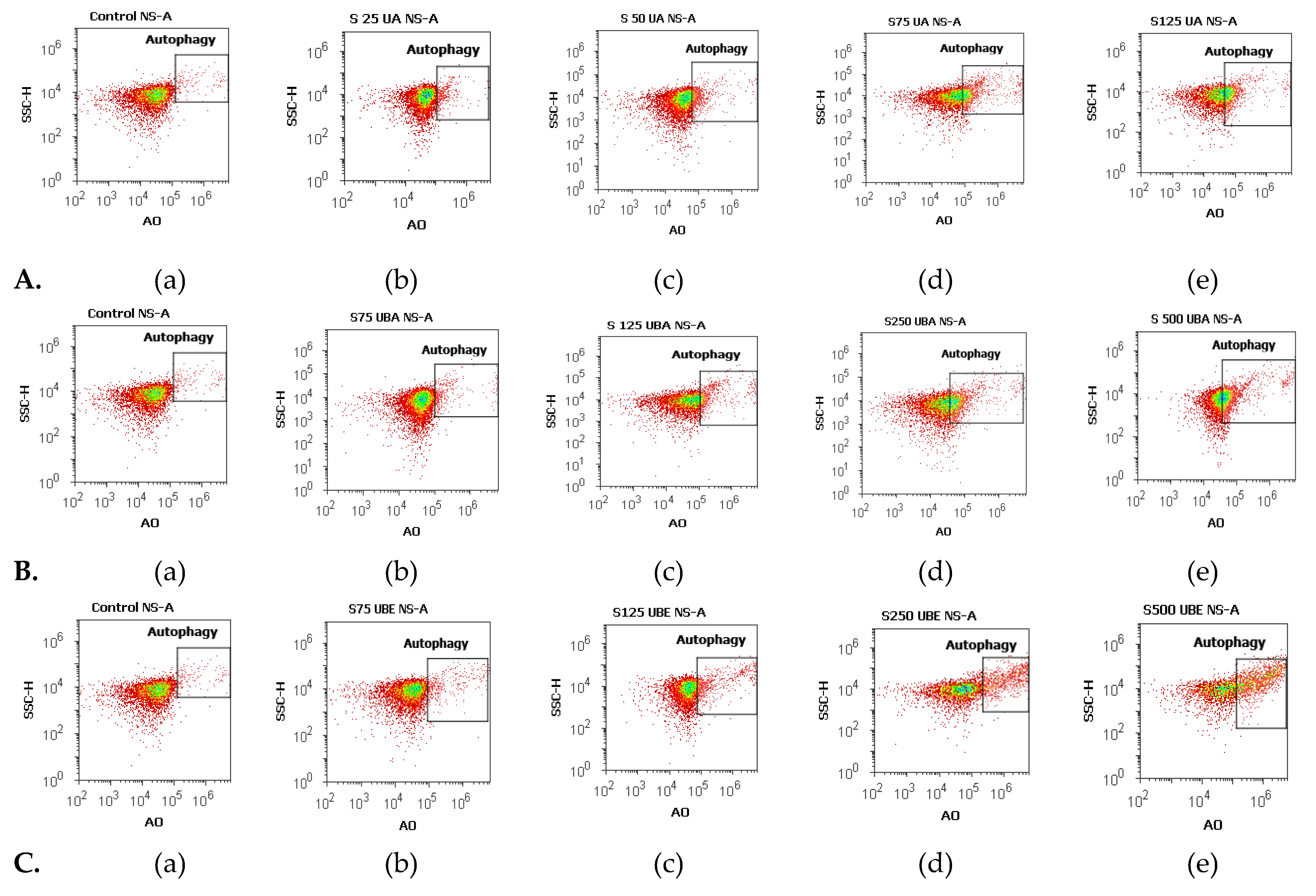 Antioxidants 10 01171 g007