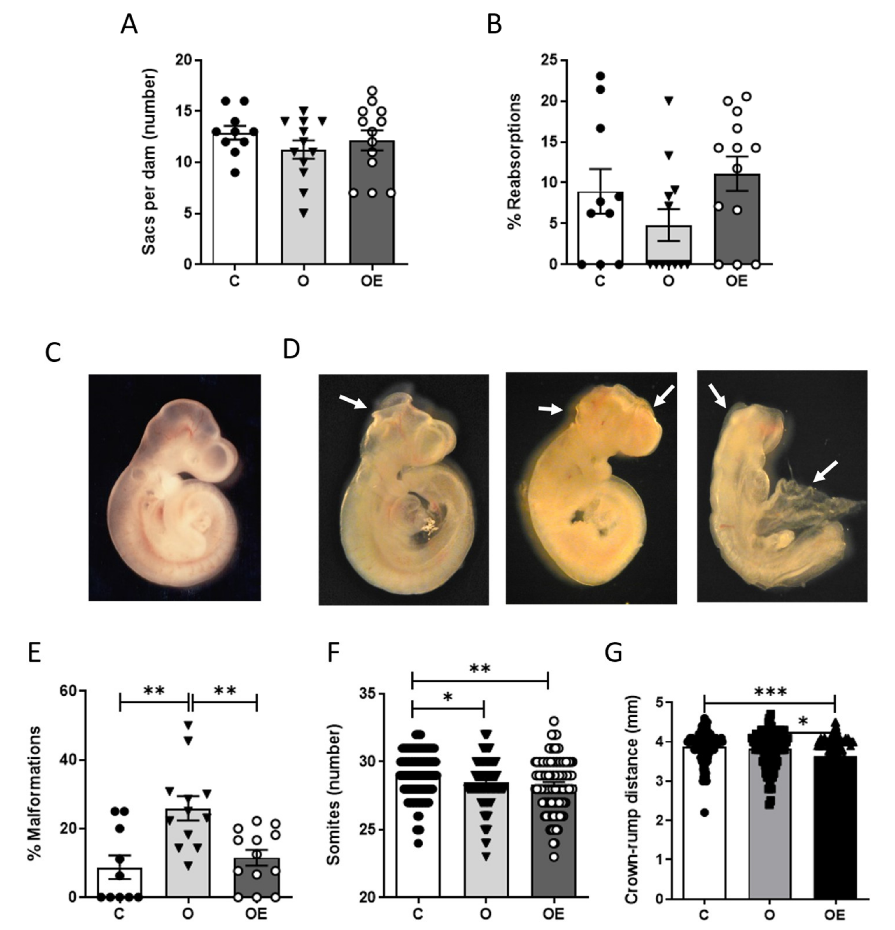 Antioxidants 10 01173 g002