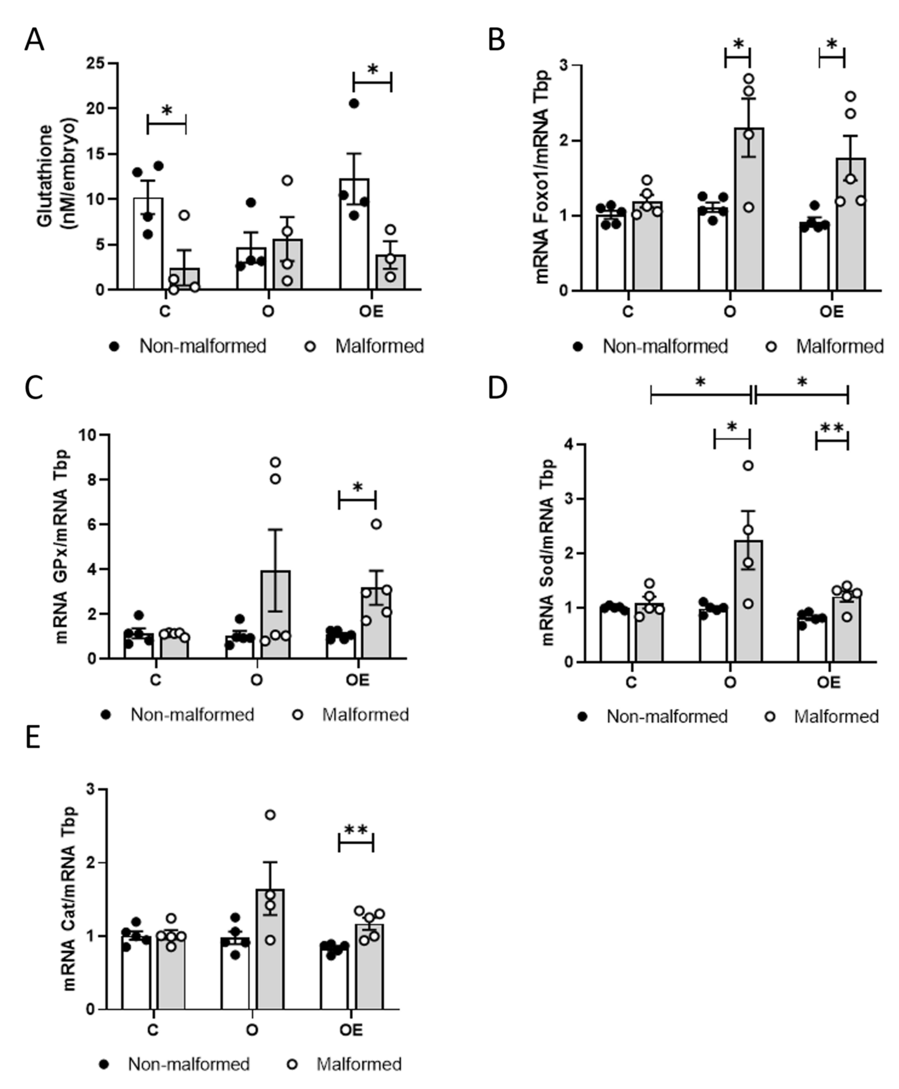 Antioxidants 10 01173 g004