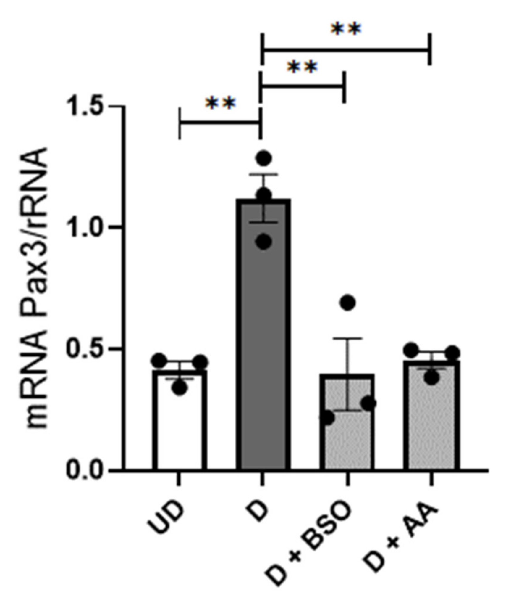 Antioxidants 10 01173 g005