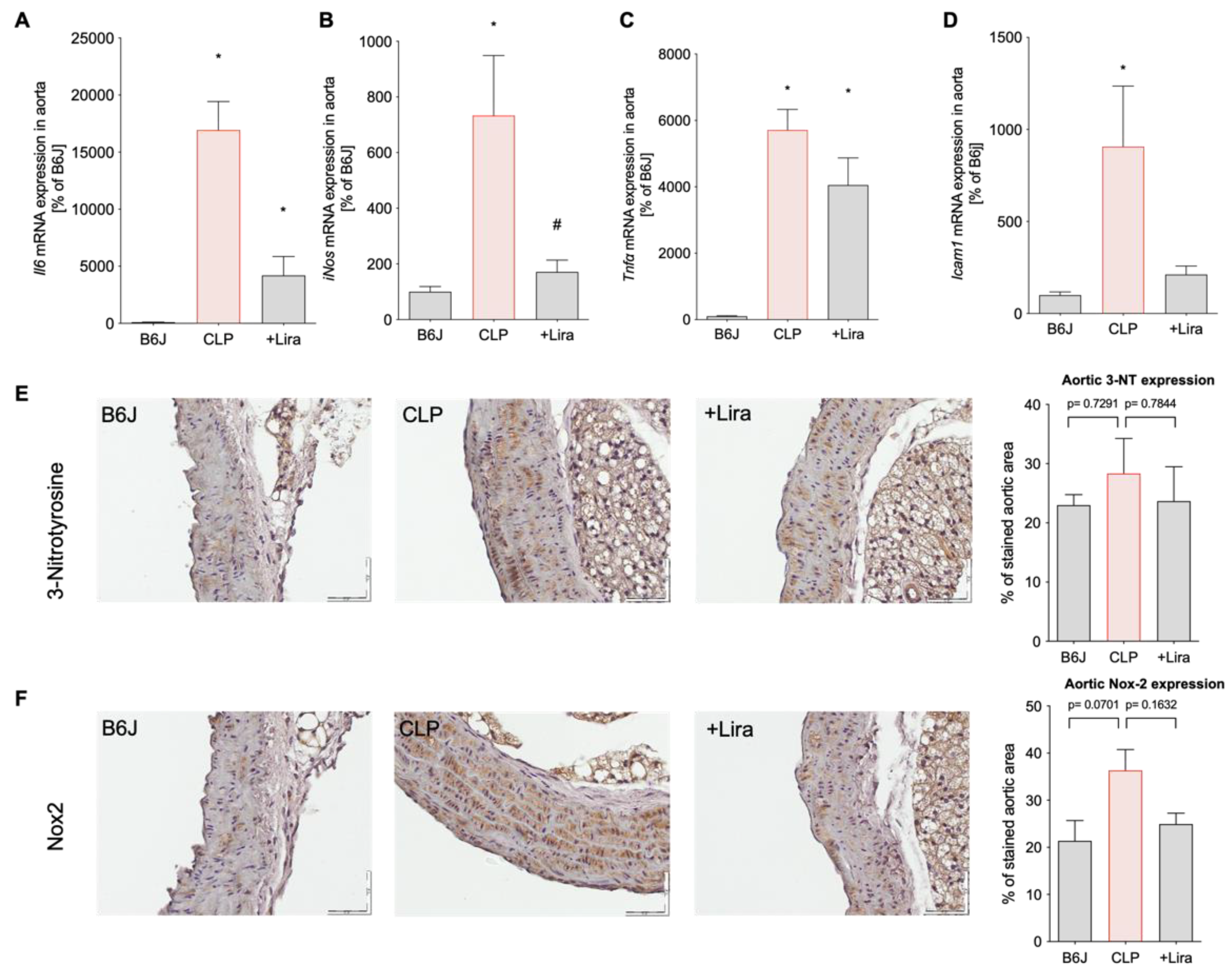 Antioxidants 10 01175 g005