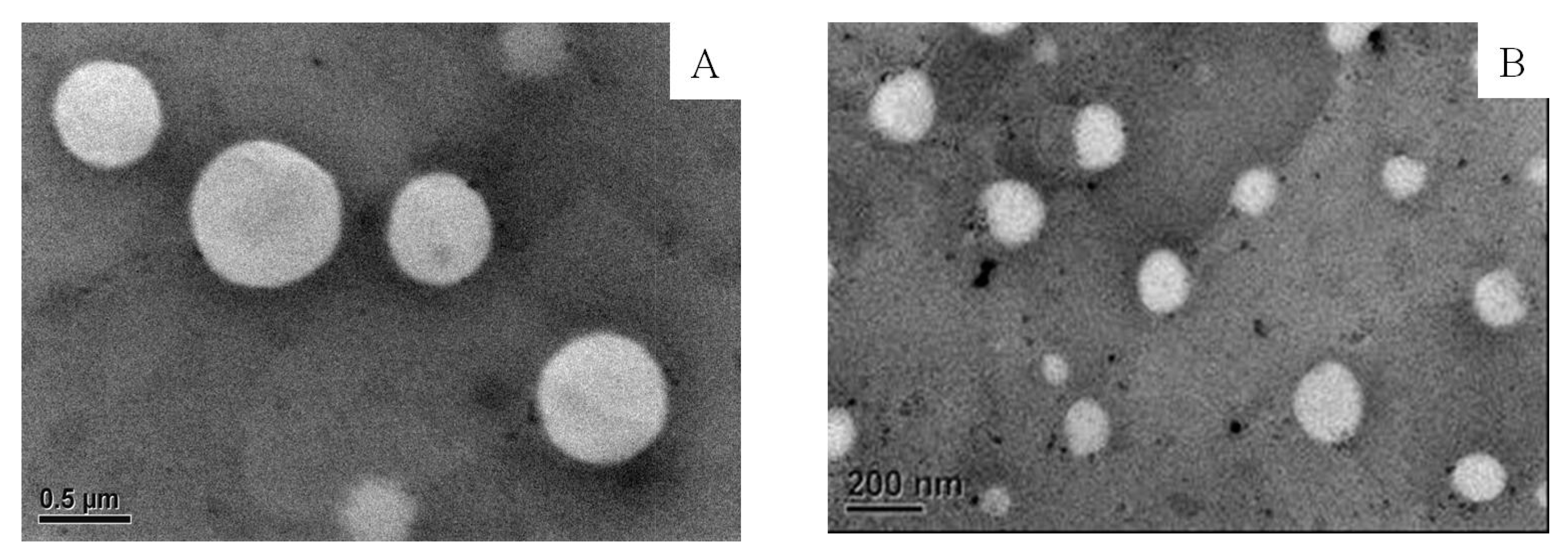 Antioxidants 10 01177 g003
