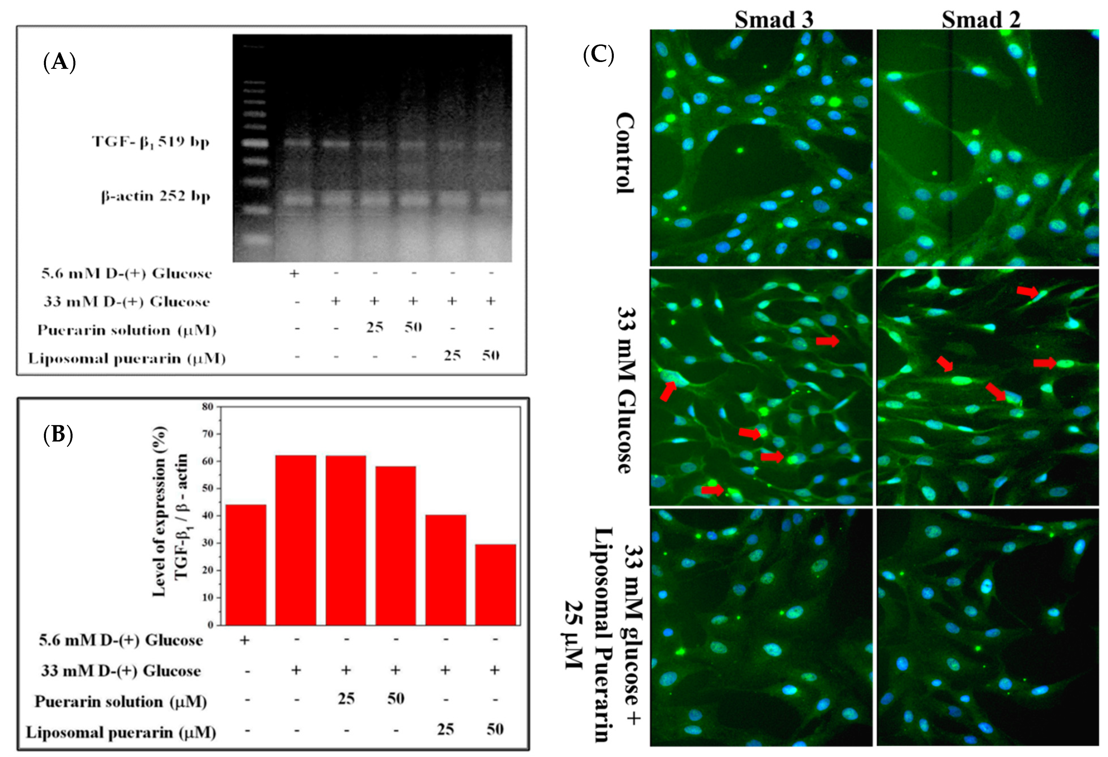 Antioxidants 10 01177 g006