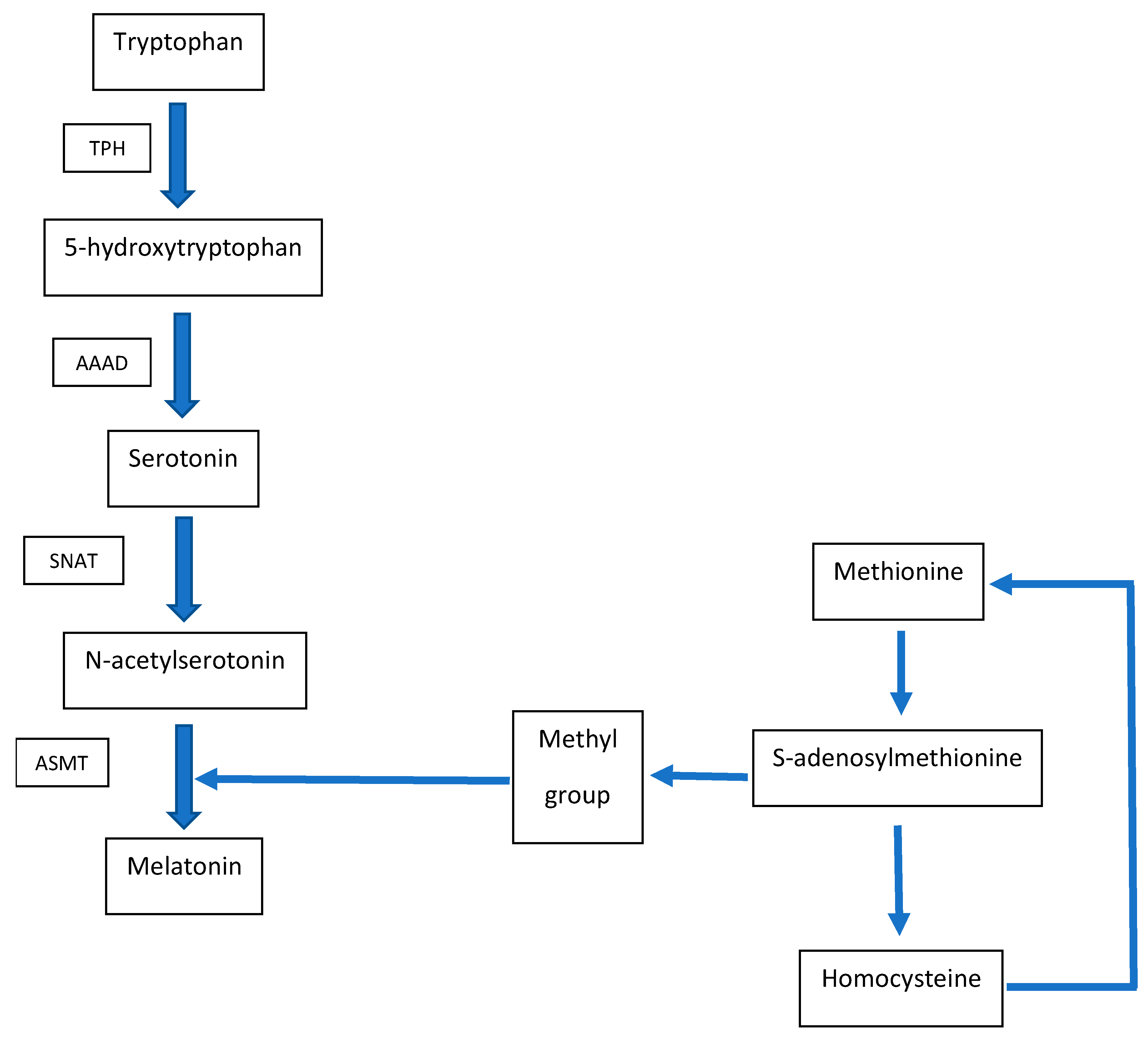 Antioxidants 10 01178 g001