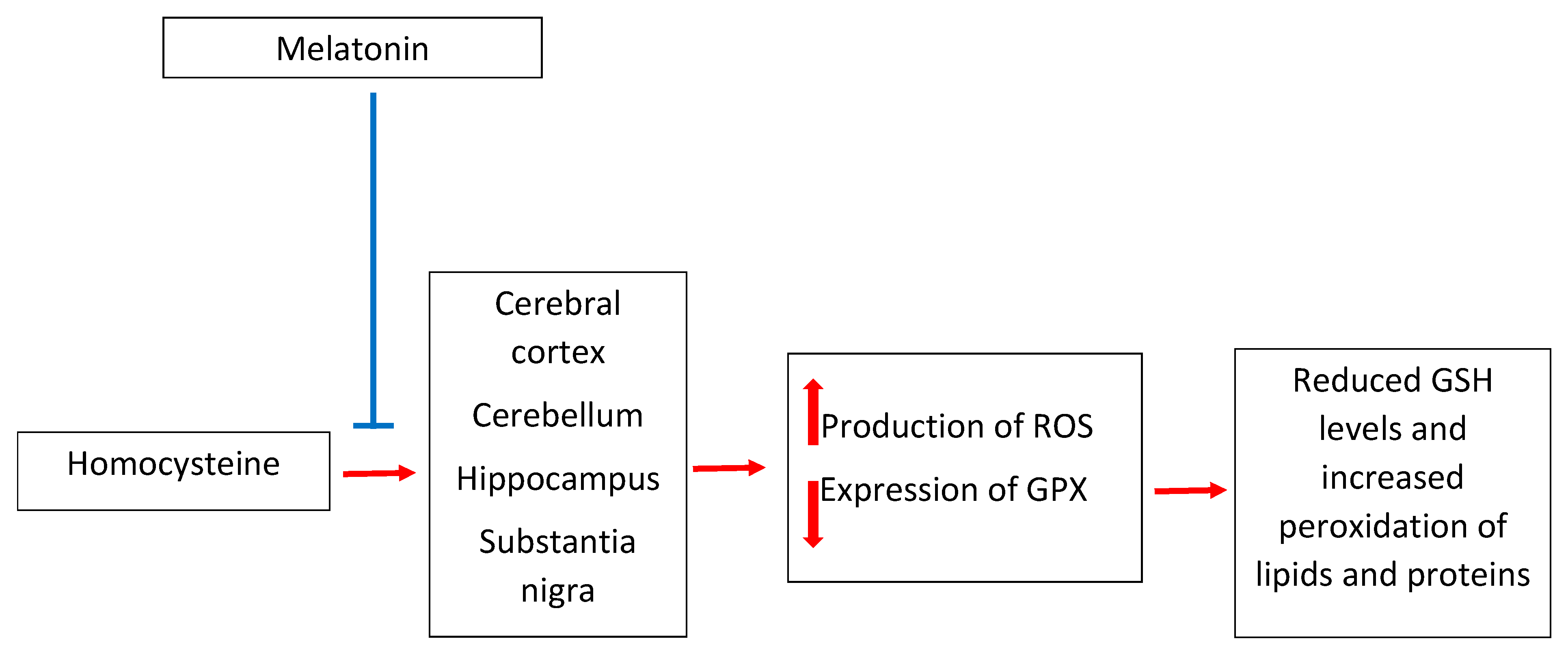 Antioxidants 10 01178 g002