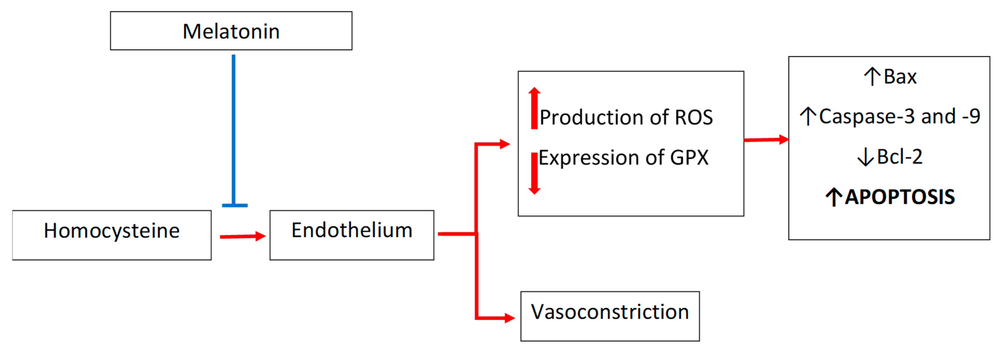 Antioxidants 10 01178 g003