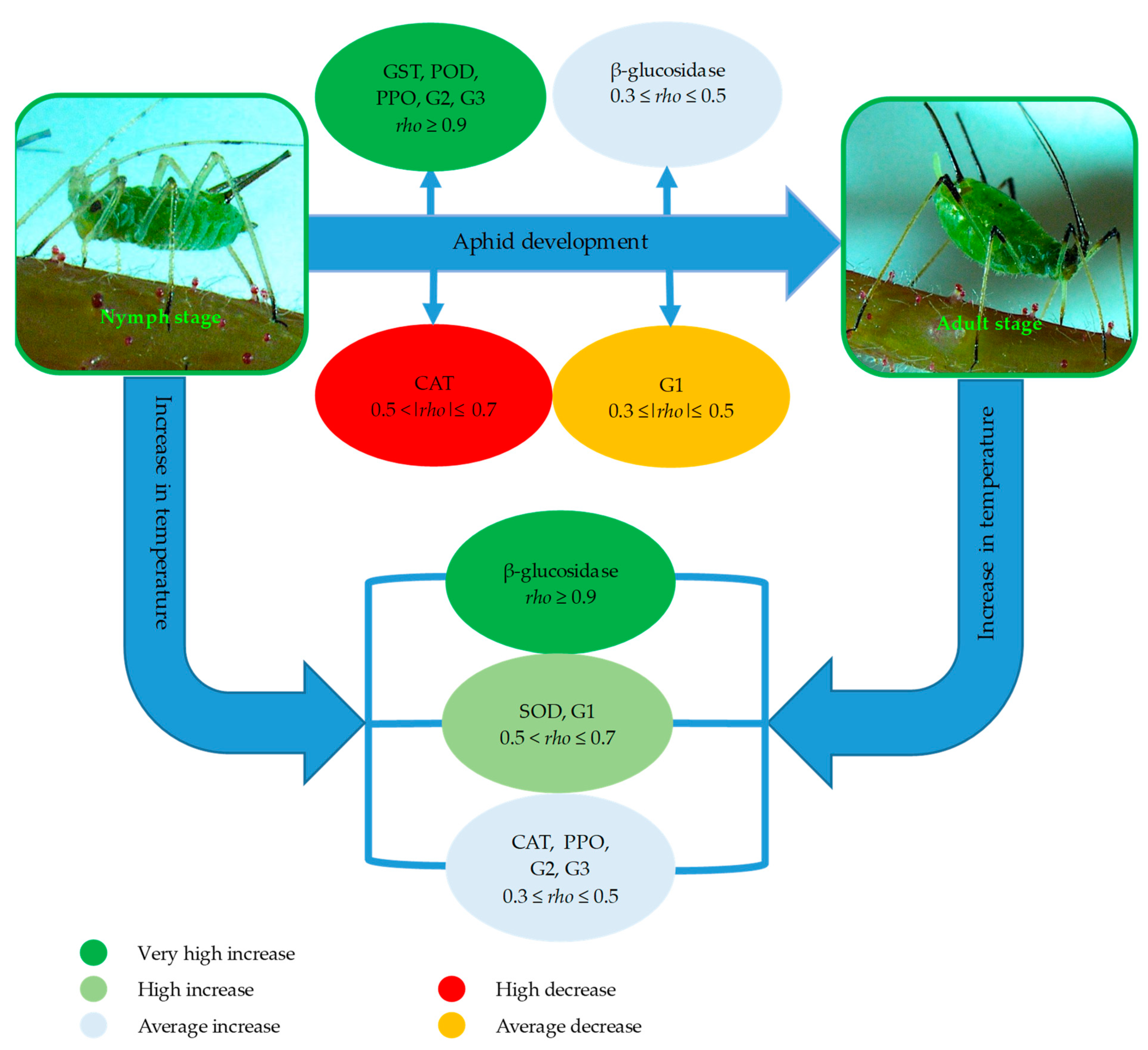 Antioxidants 10 01181 g002