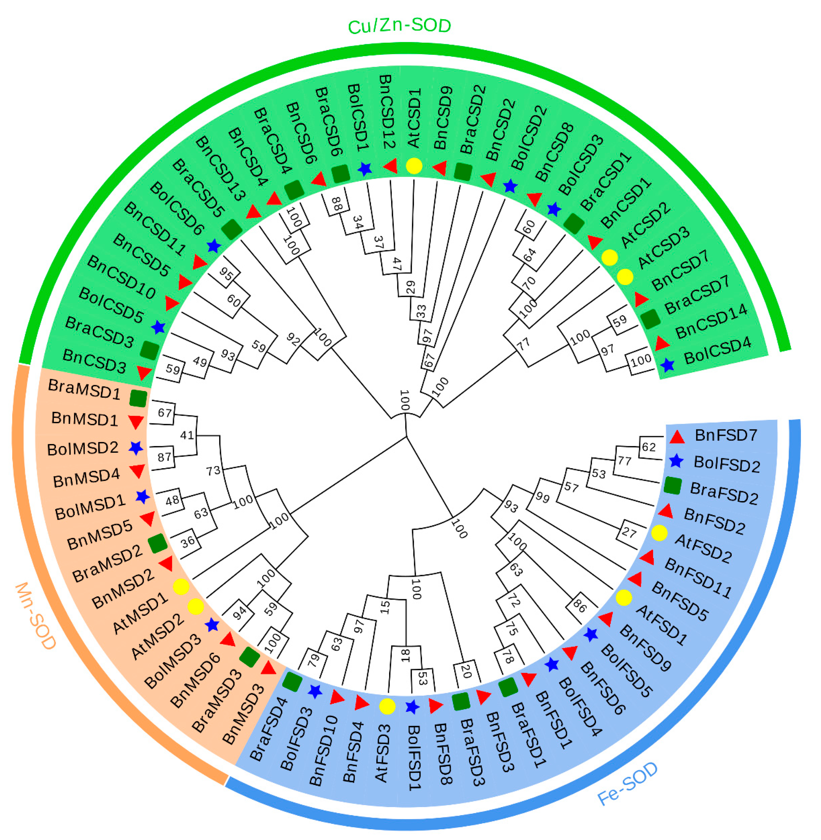 Antioxidants 10 01182 g001
