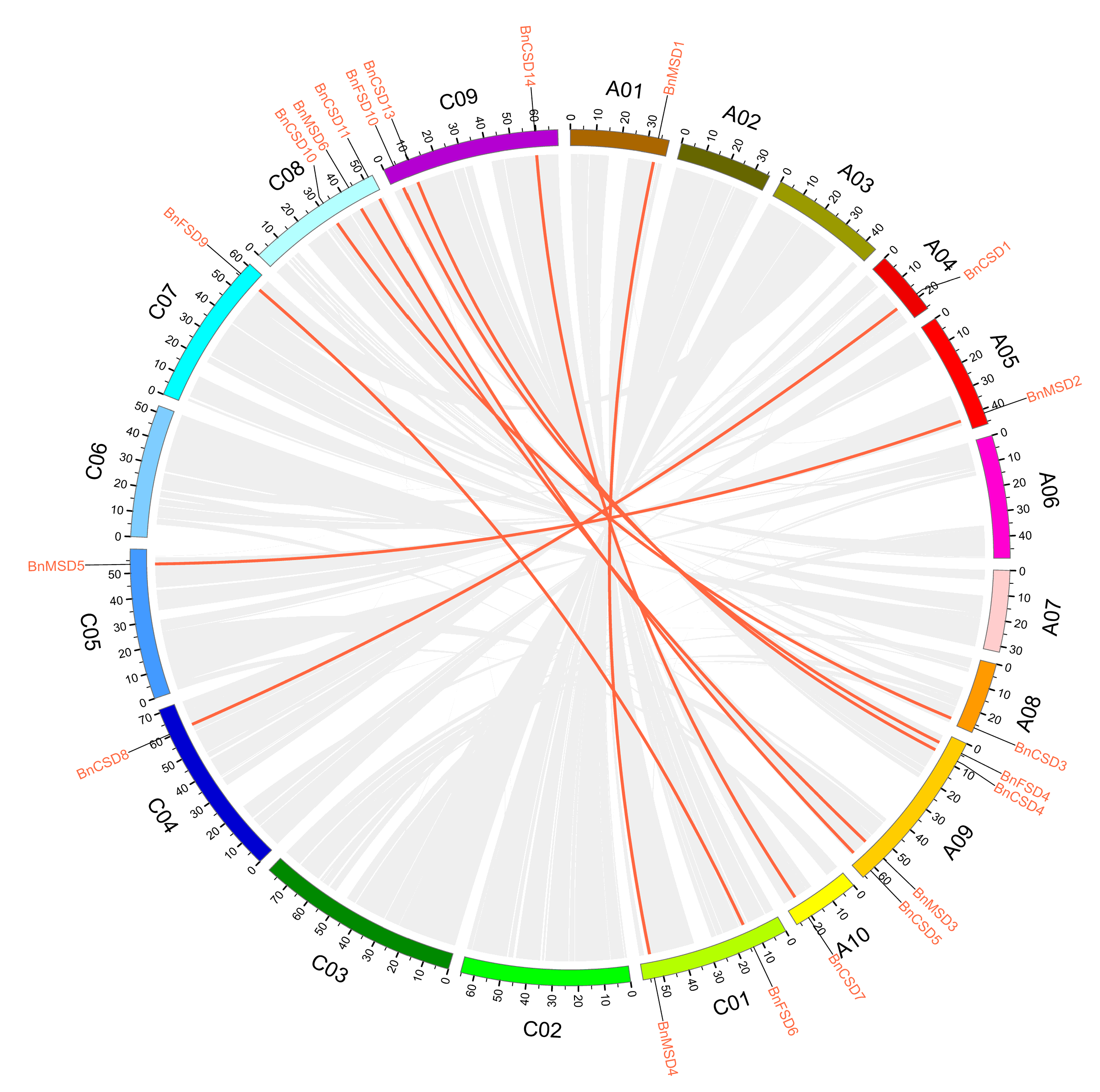 Antioxidants 10 01182 g002