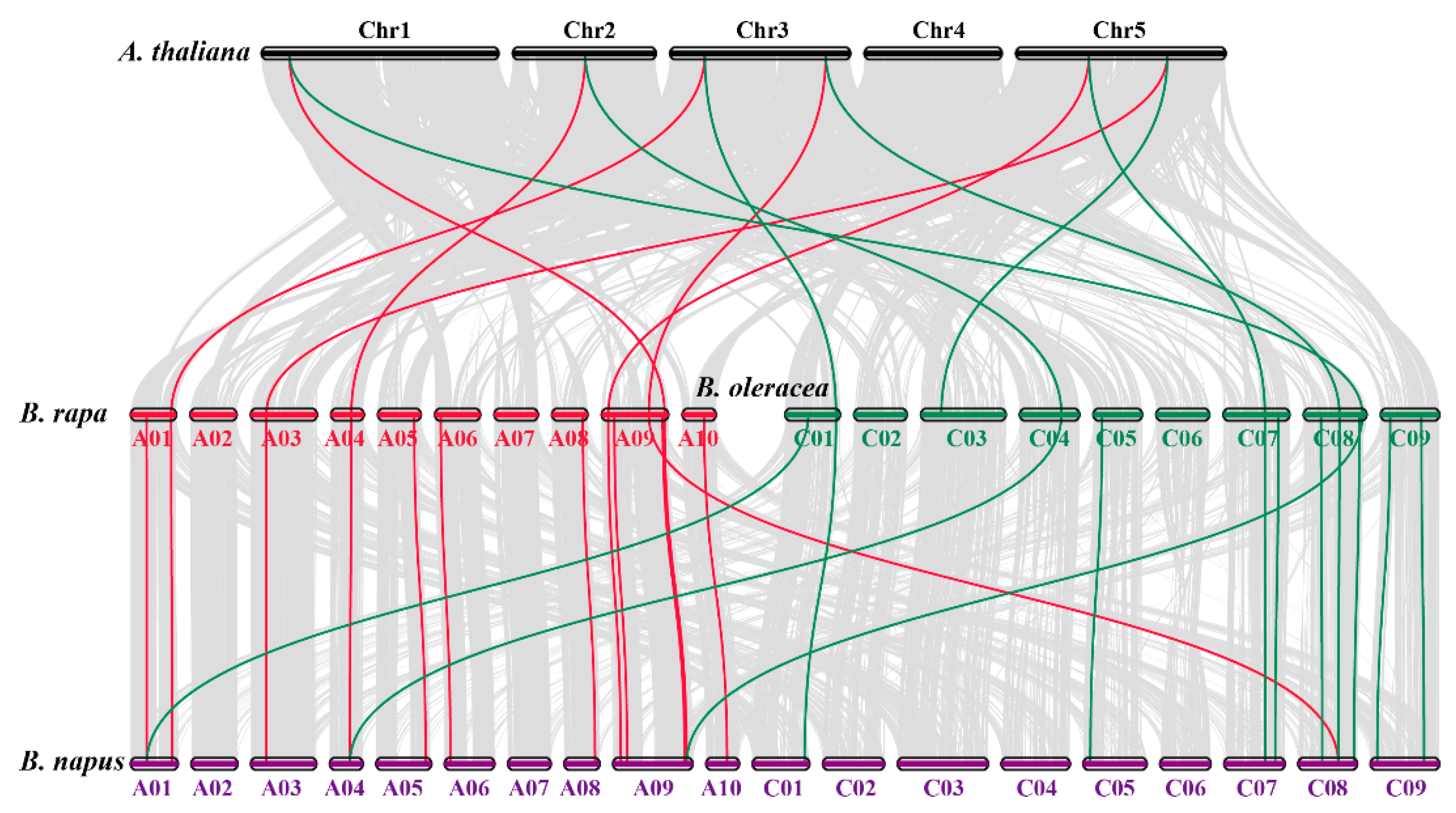 Antioxidants 10 01182 g003