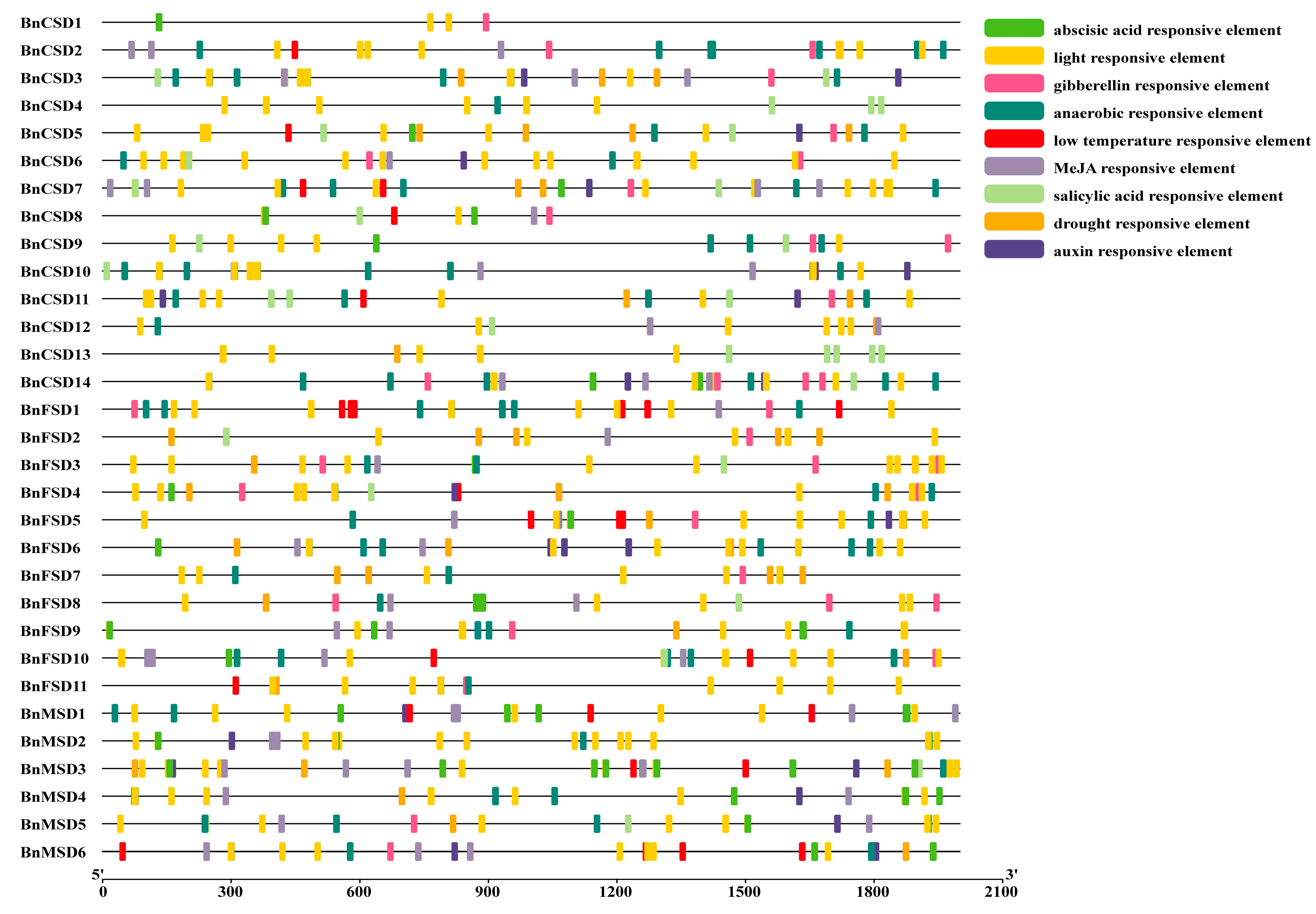 Antioxidants 10 01182 g005