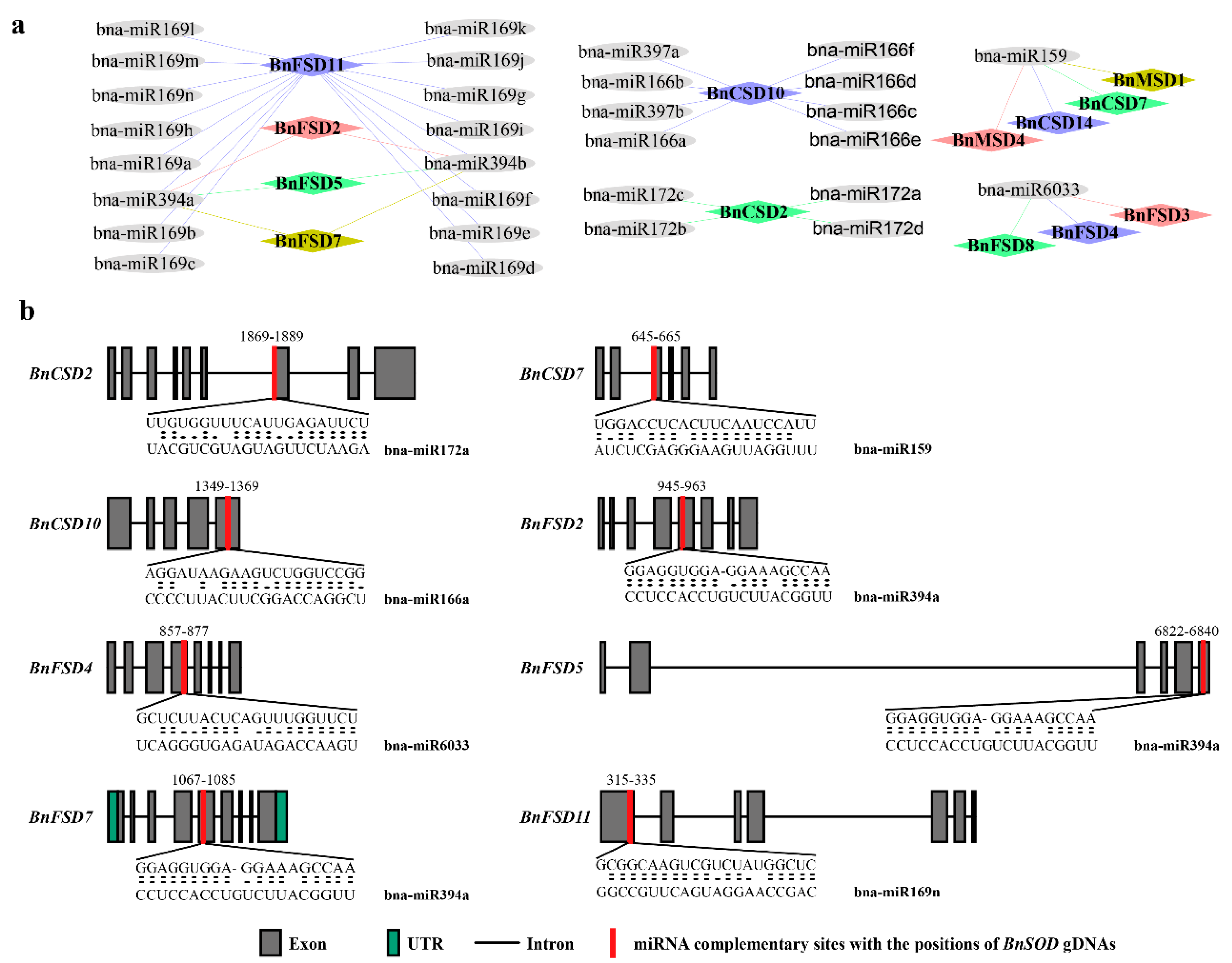 Antioxidants 10 01182 g006