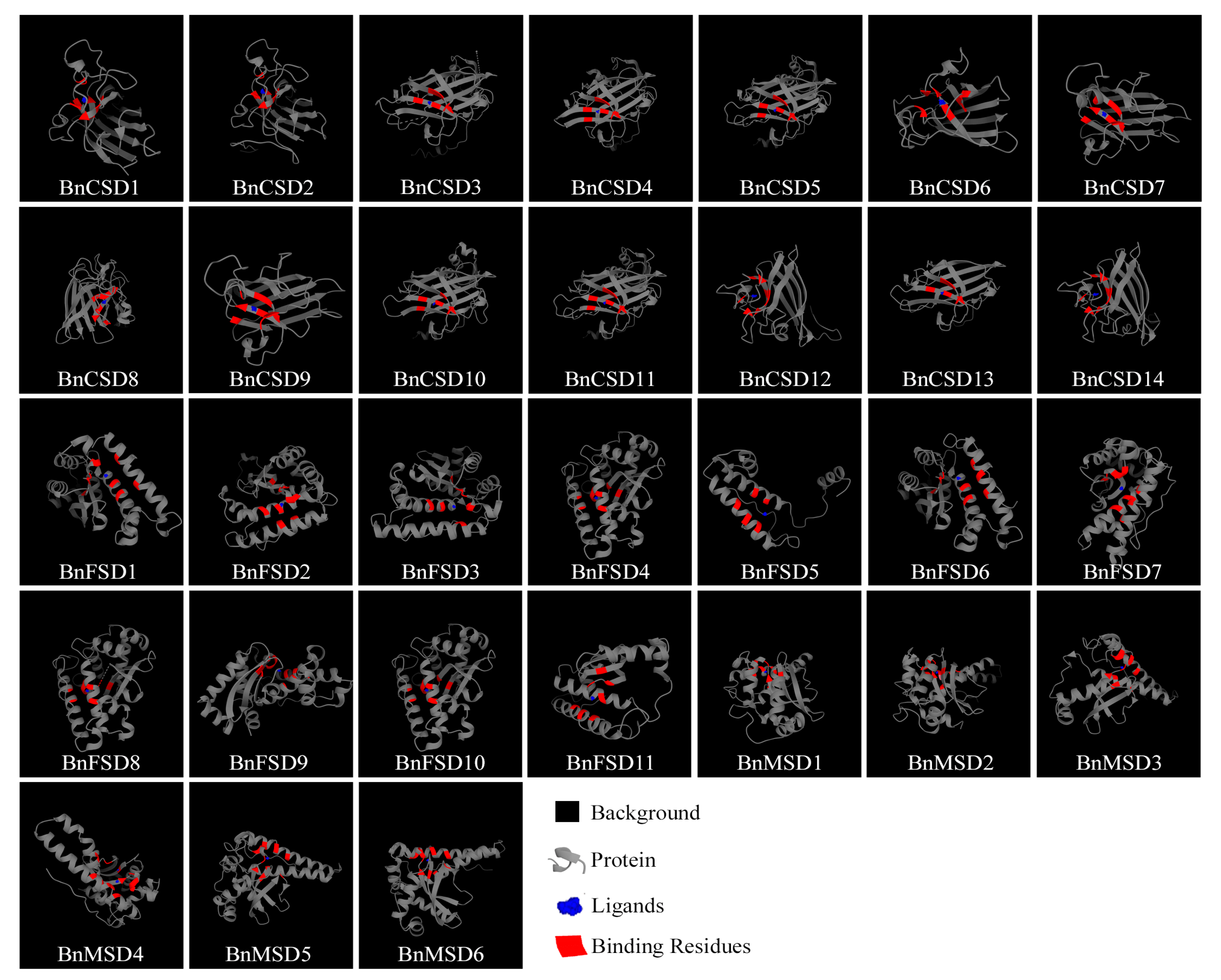 Antioxidants 10 01182 g009