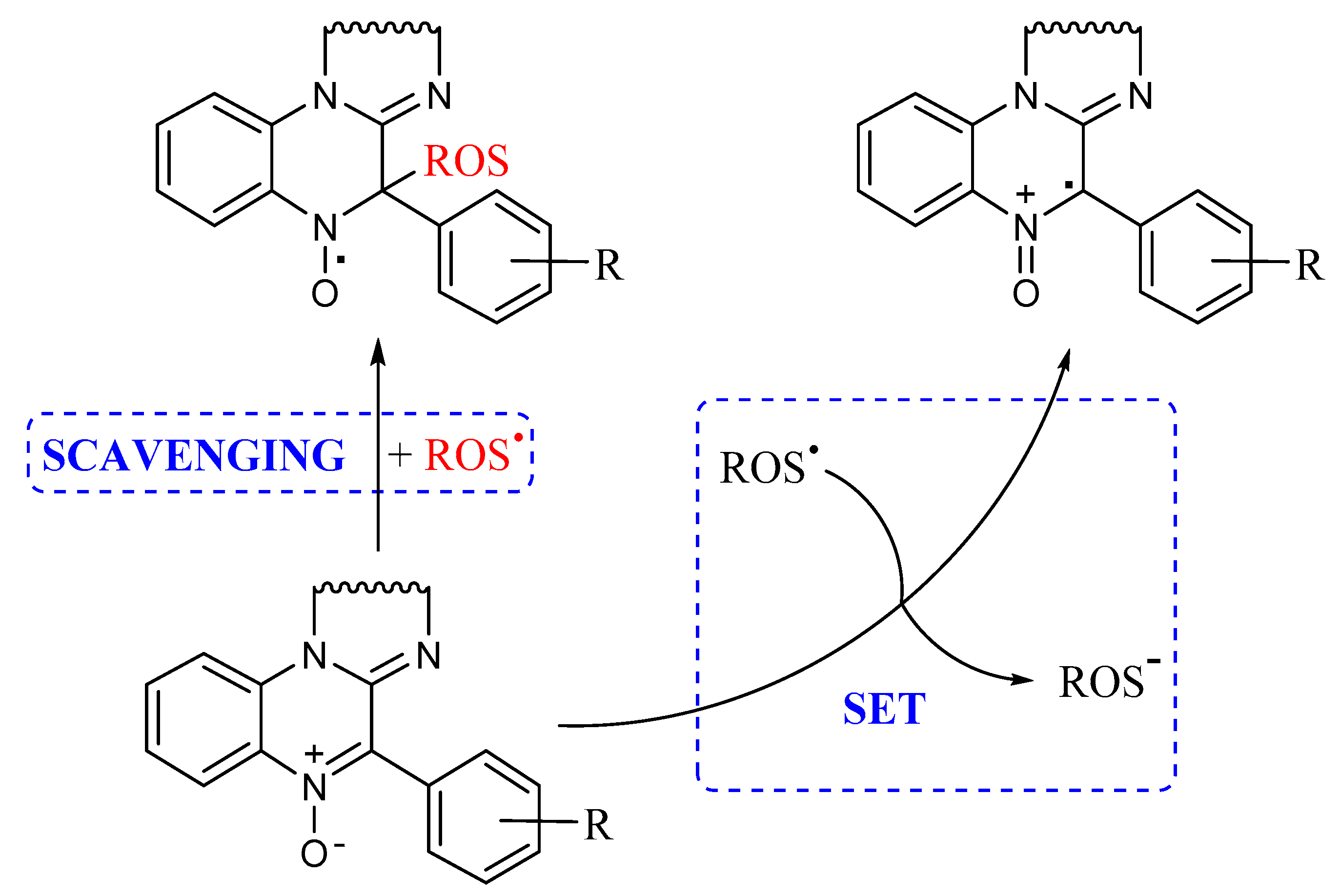 Antioxidants 10 01185 g003