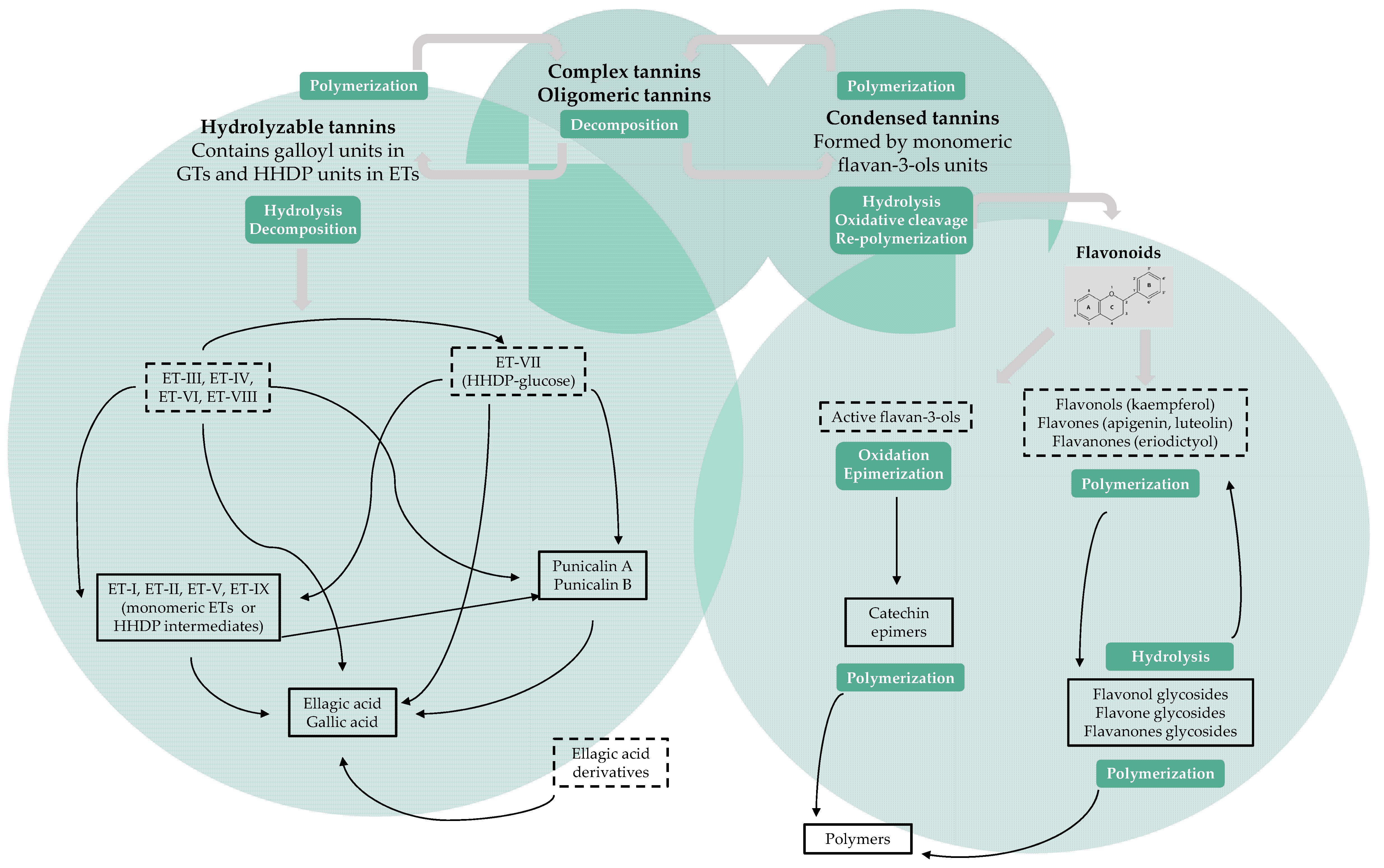 Antioxidants 10 01187 g002 Antioxidants 10 01187 g002