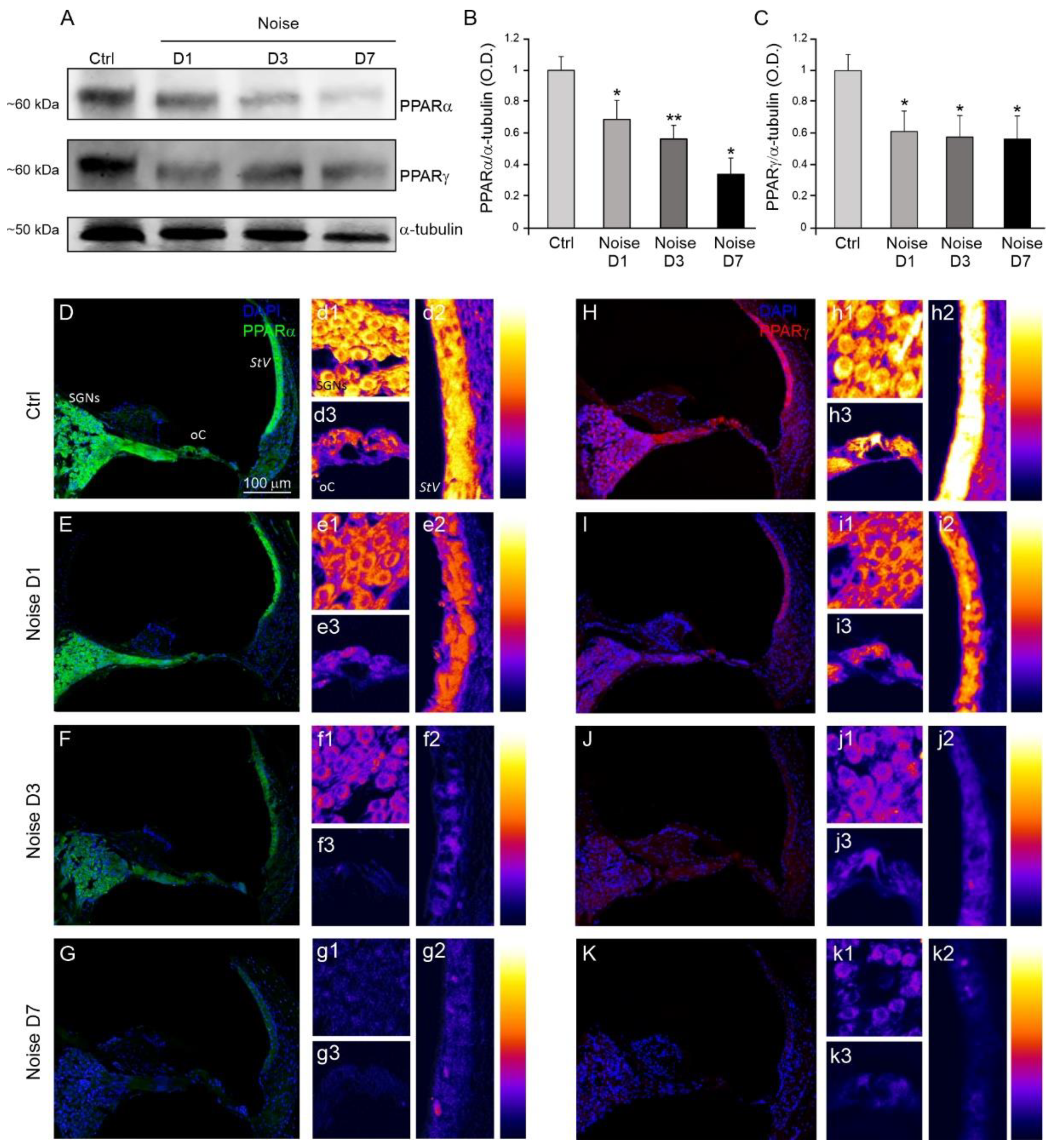 Antioxidants 10 01188 g003