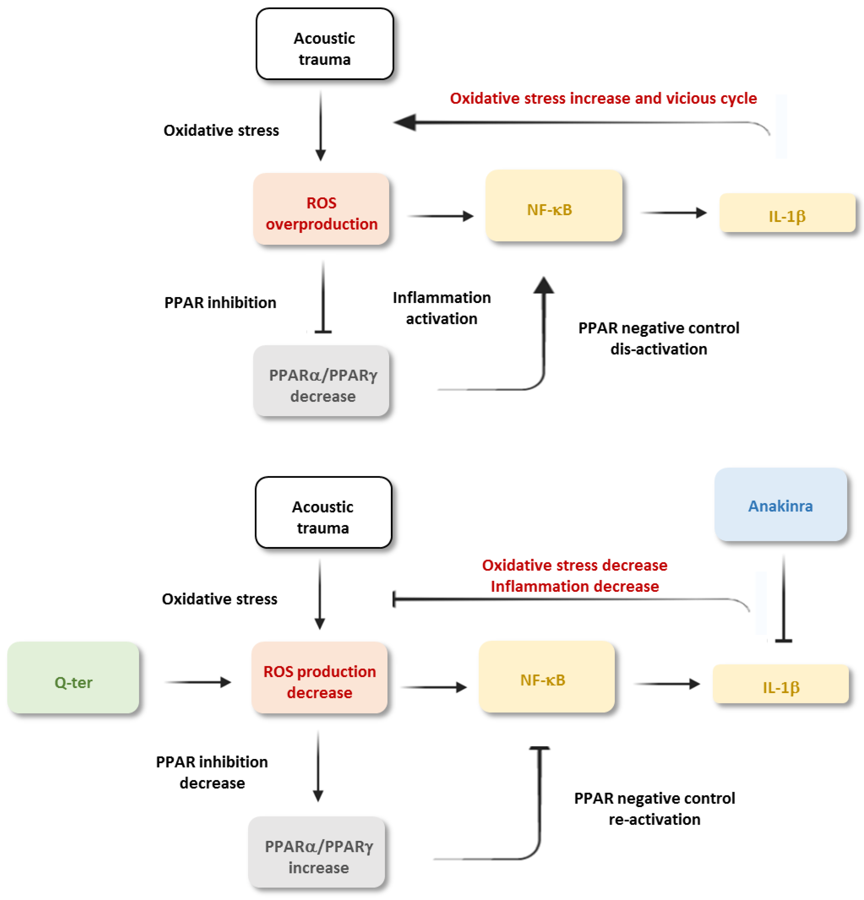 Antioxidants 10 01188 g008
