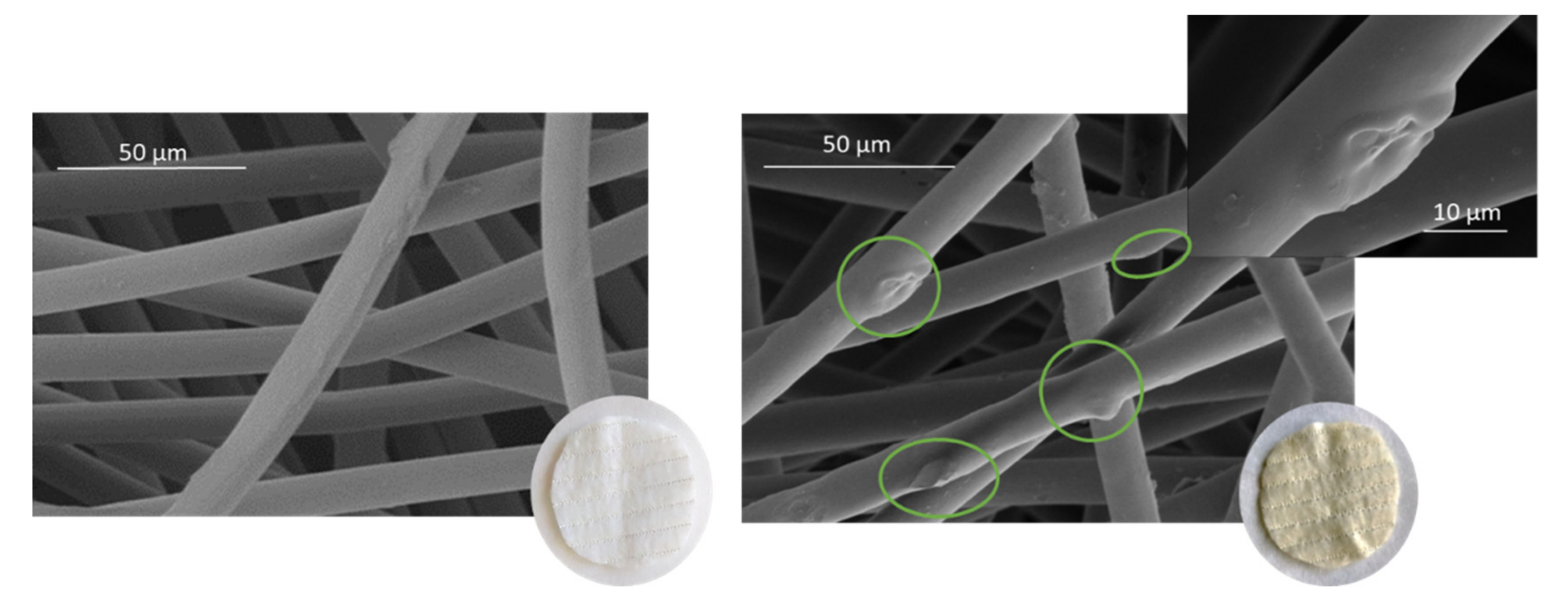 Antioxidants 10 01196 g008b