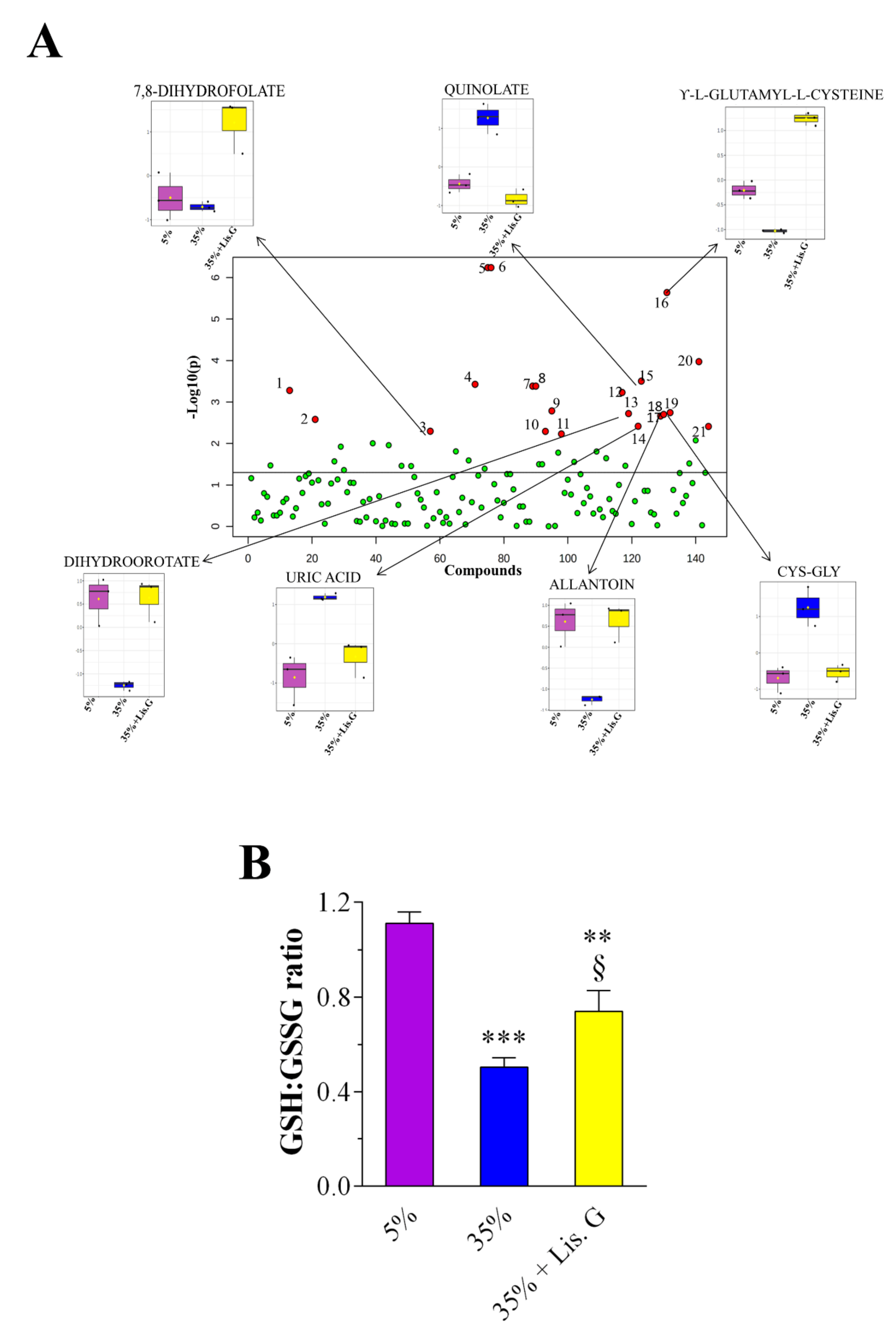 Antioxidants 10 01197 g004 Antioxidants 10 01197 g004