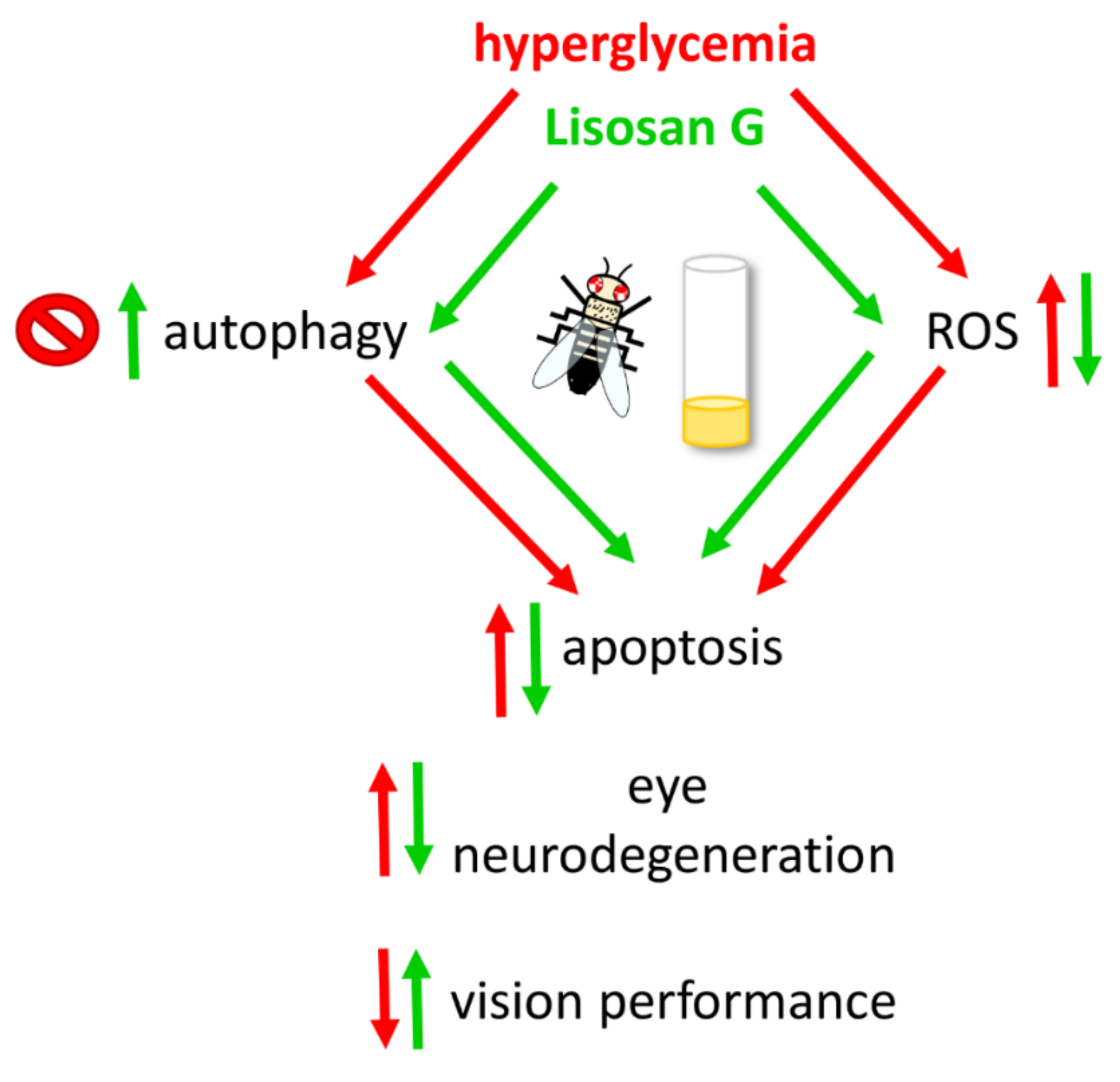 Antioxidants 10 01197 g010 Antioxidants 10 01197 g010