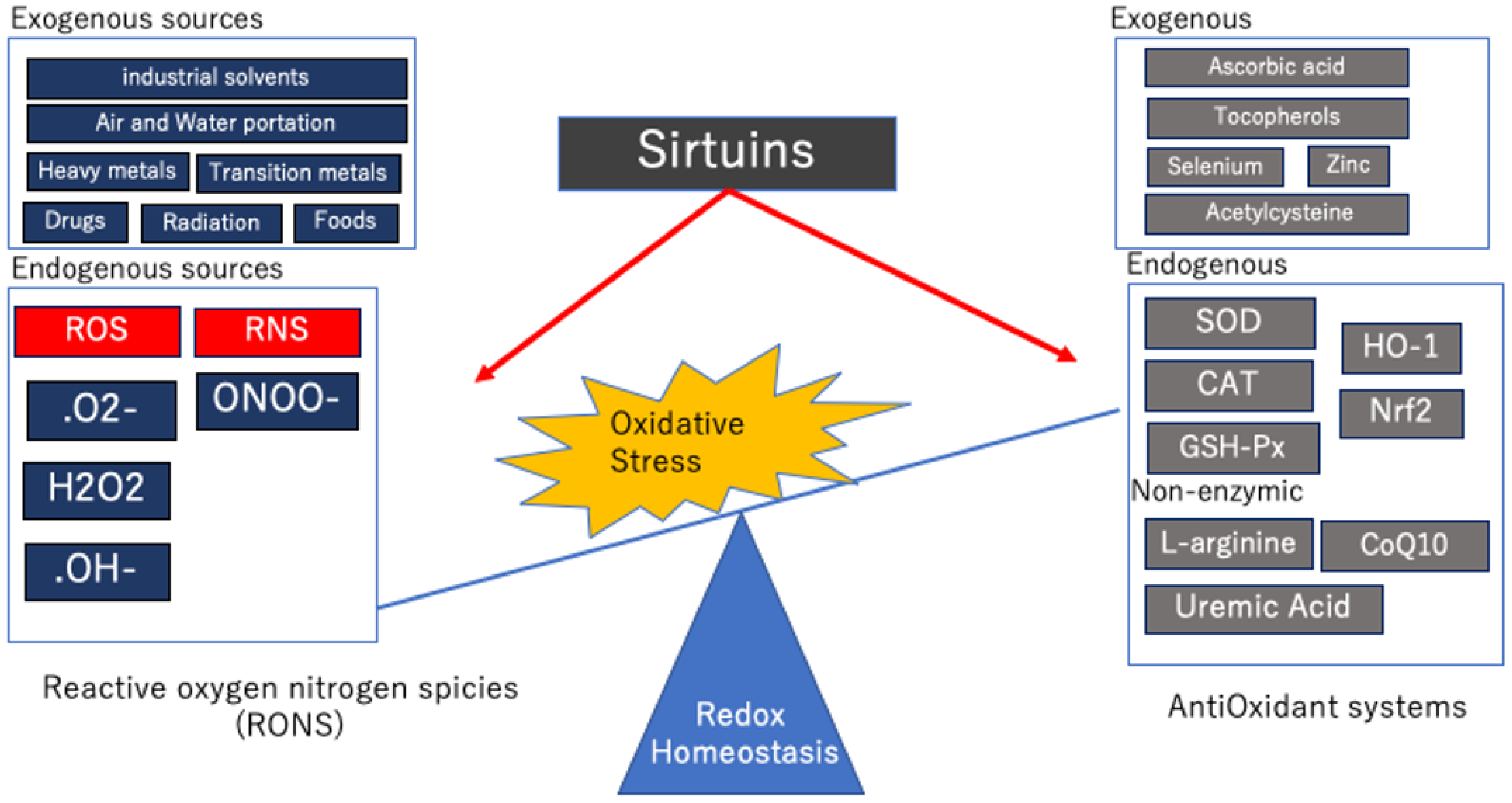 Antioxidants 10 01198 g001