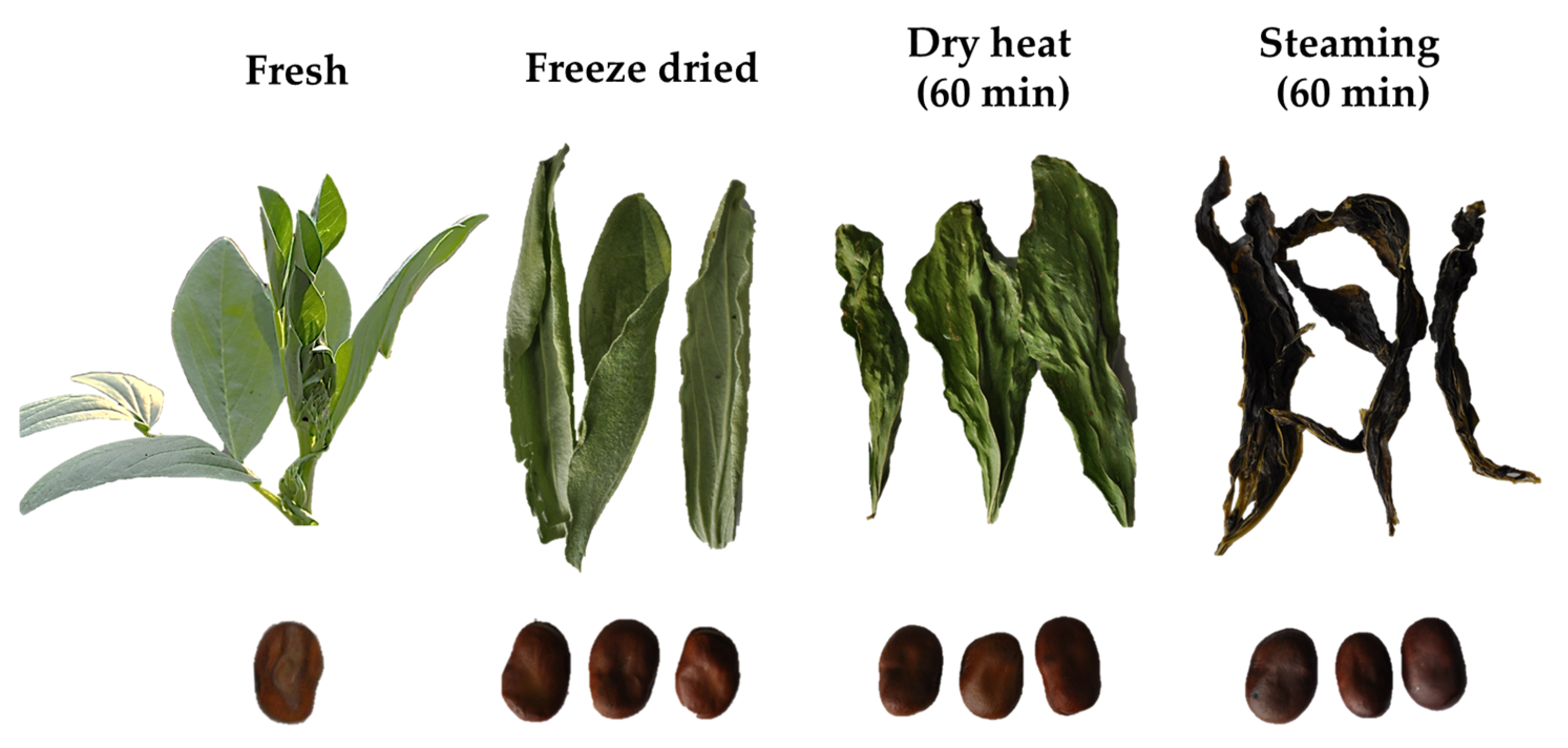 Antioxidants 10 01207 g001 Antioxidants 10 01207 g001