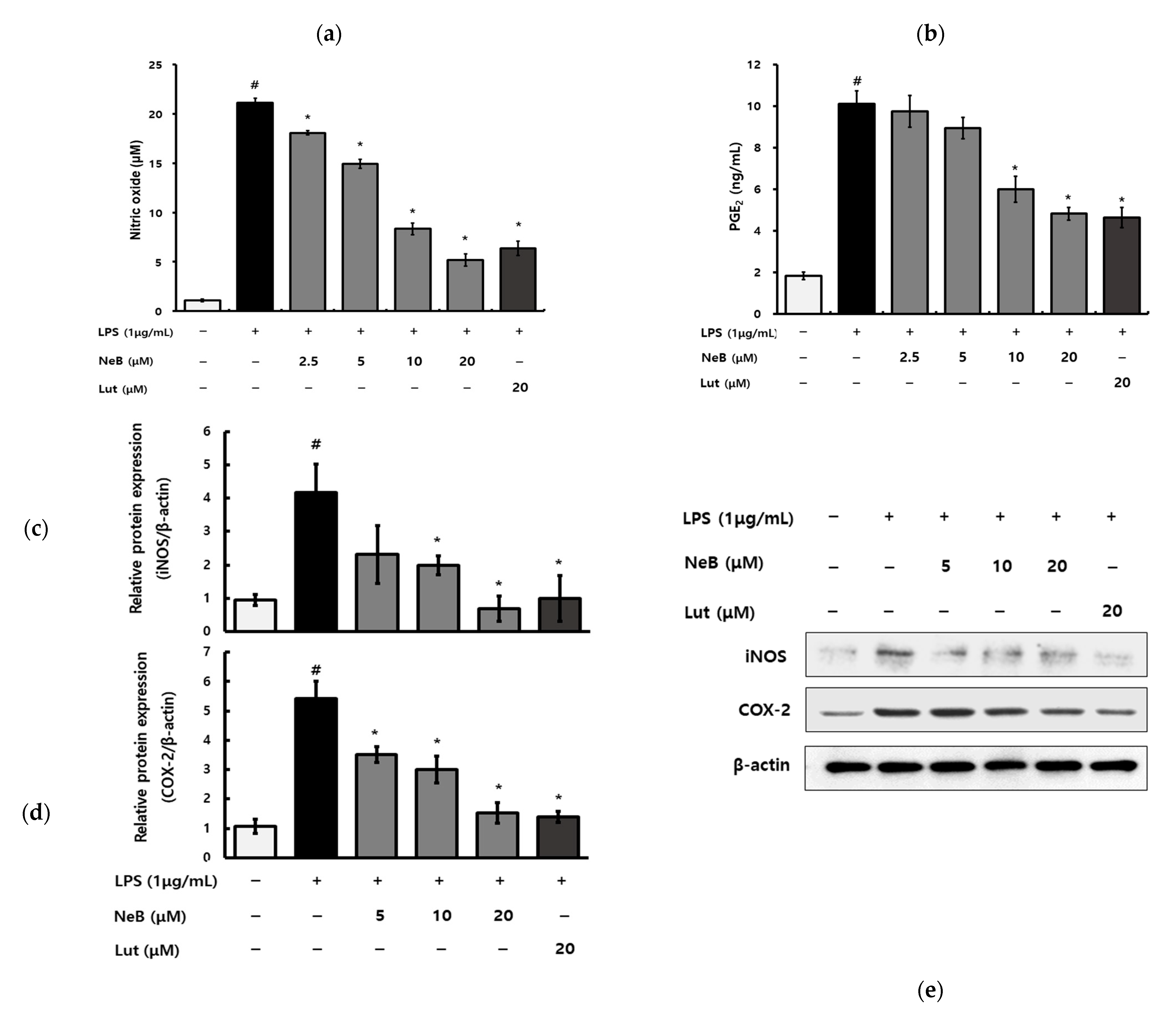 Antioxidants 10 01208 g003