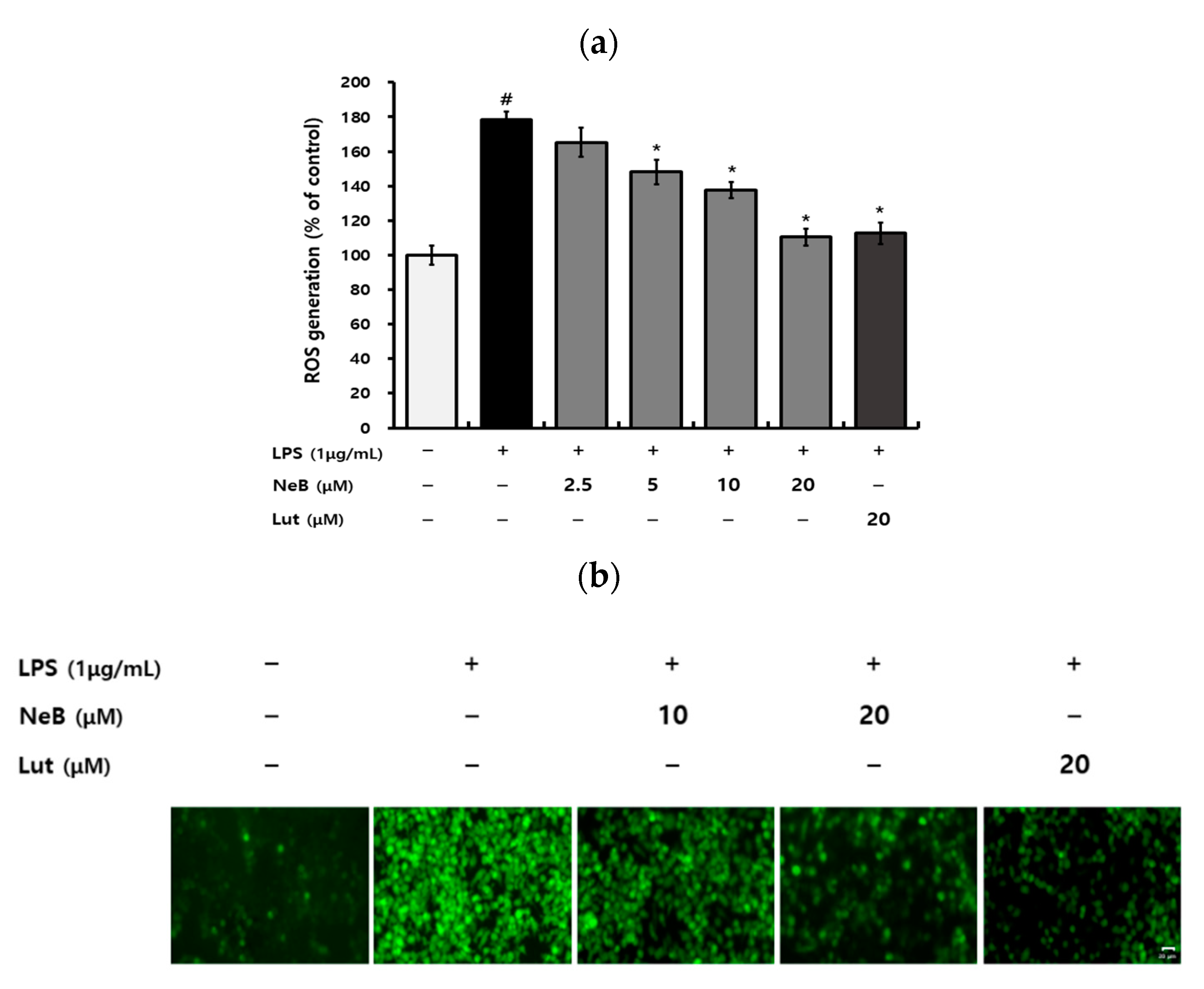 Antioxidants 10 01208 g005a