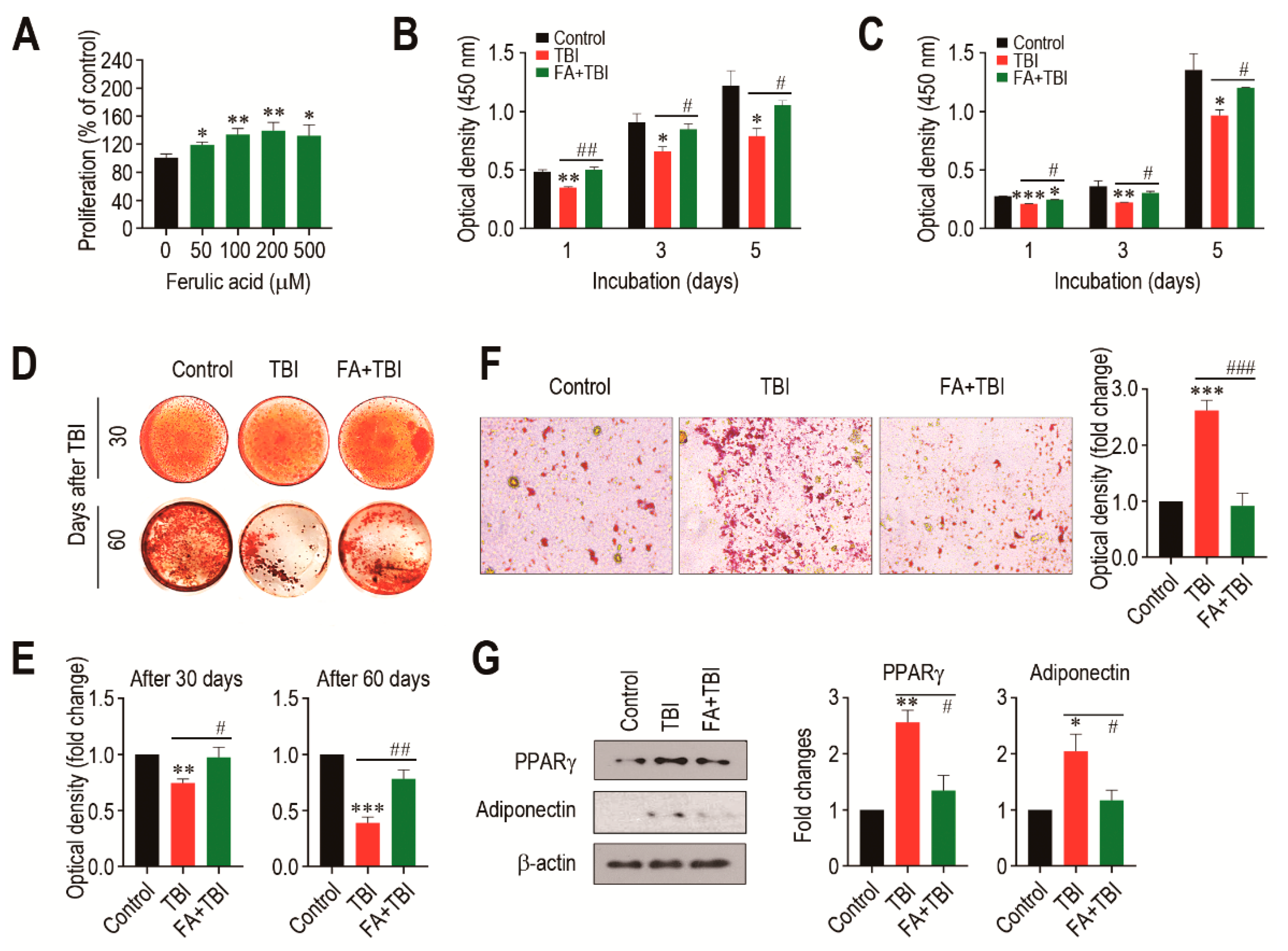 Antioxidants 10 01209 g006