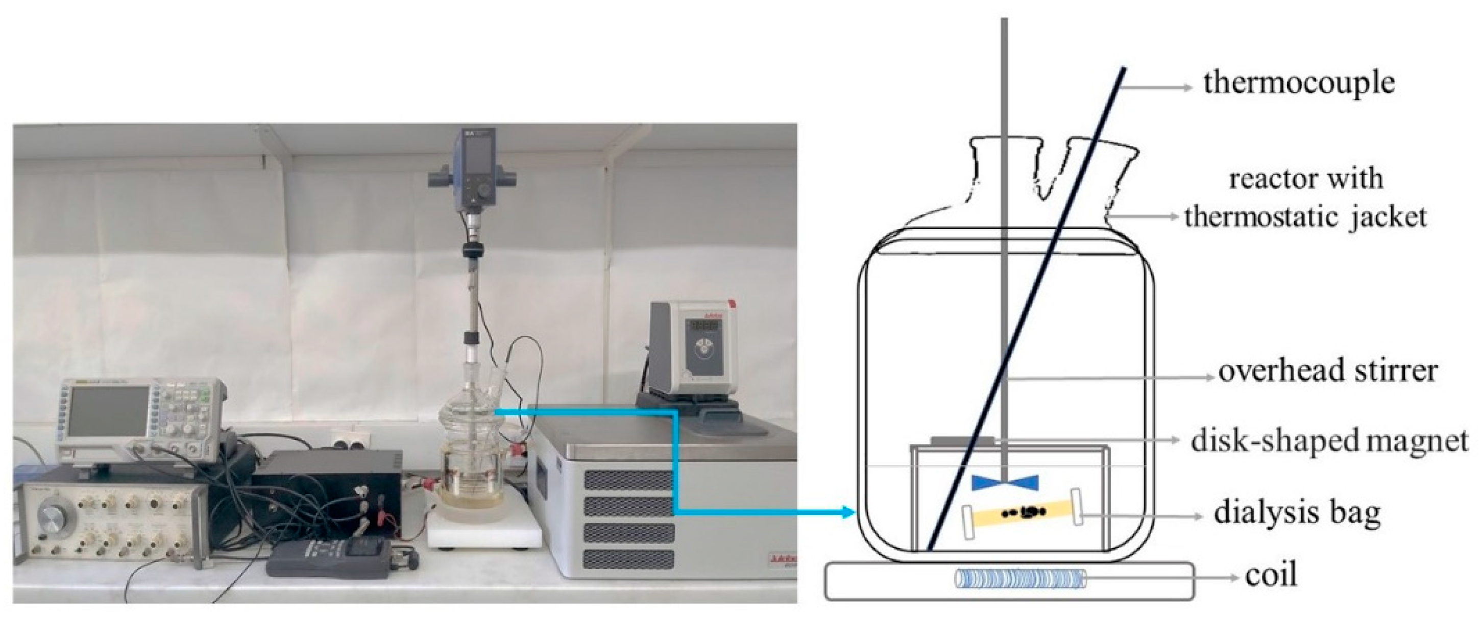 Antioxidants 10 01212 g002