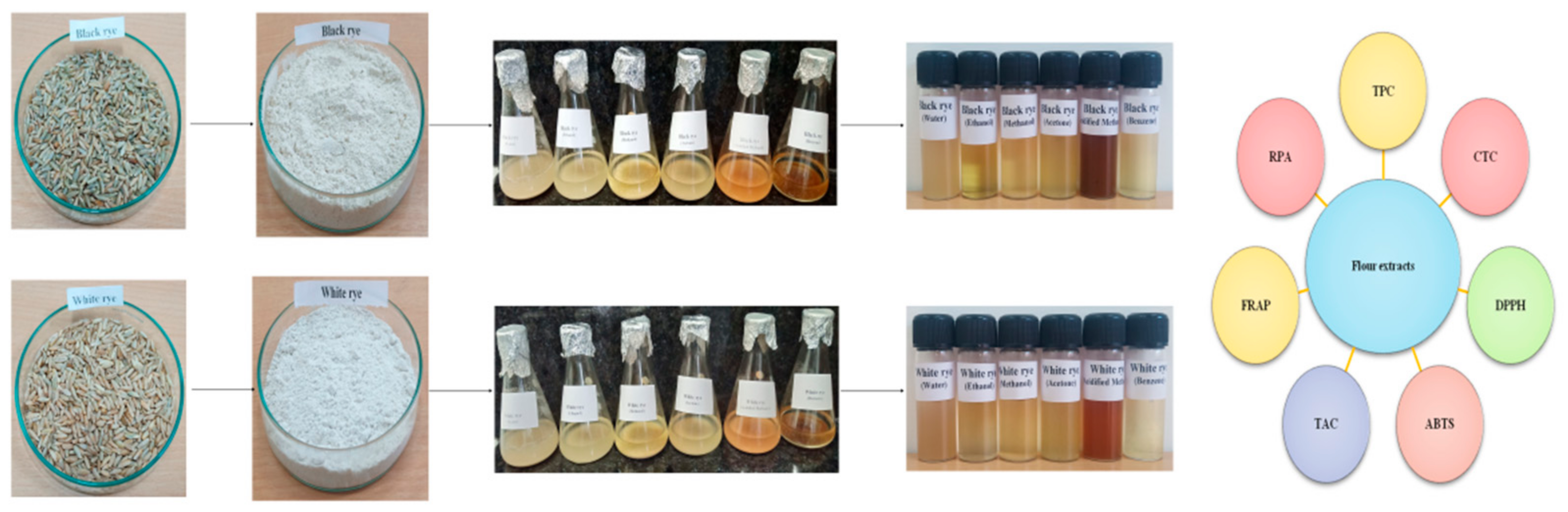 Antioxidants 10 01214 g001