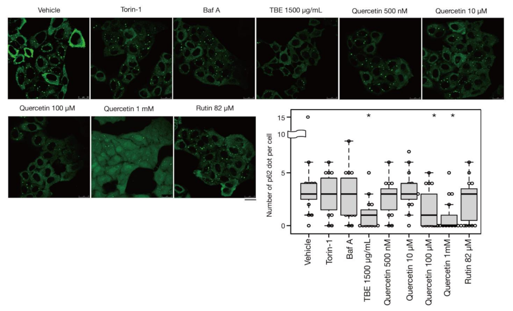 Antioxidants 10 01217 g005
