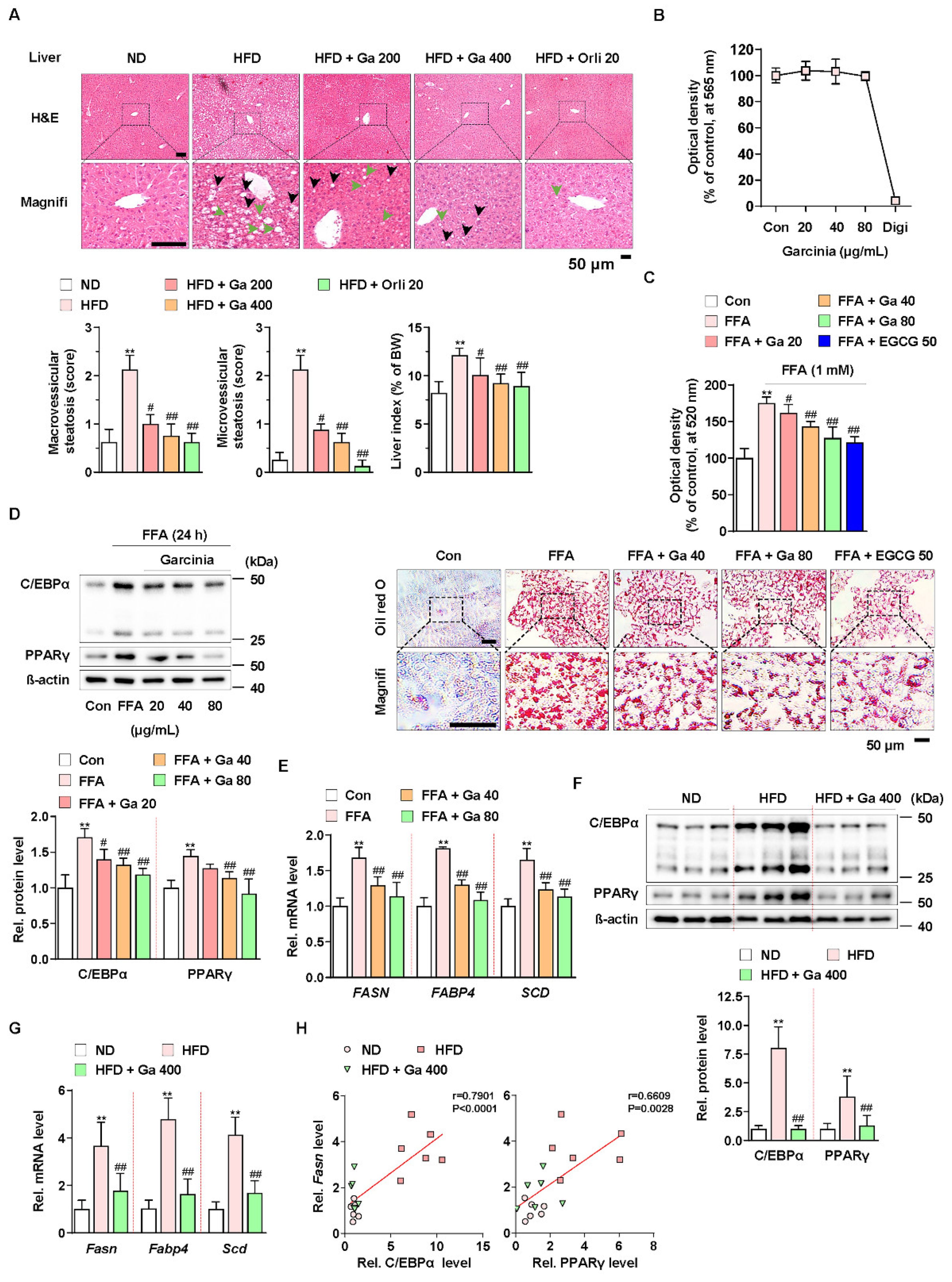 Antioxidants 10 01226 g001