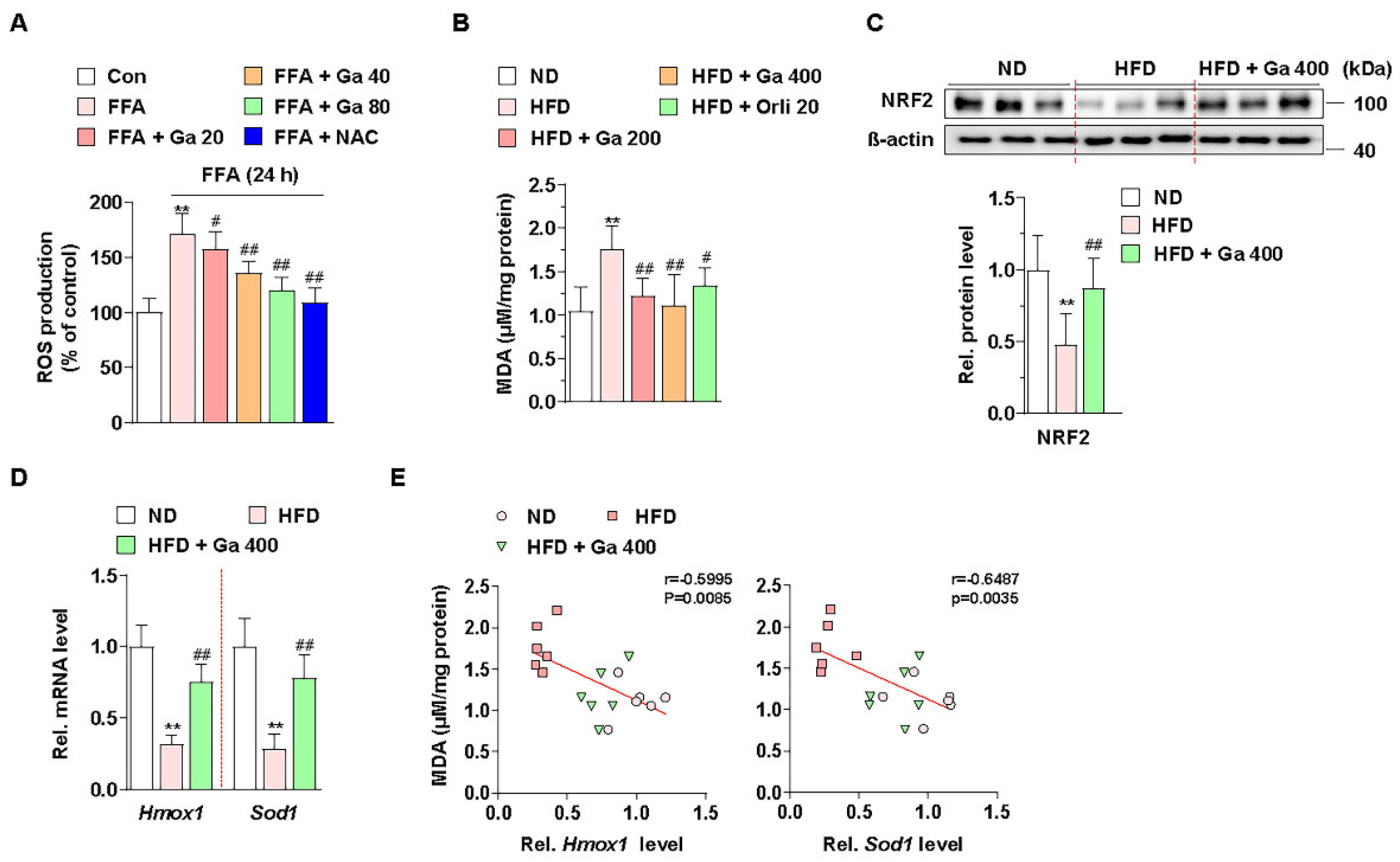 Antioxidants 10 01226 g003
