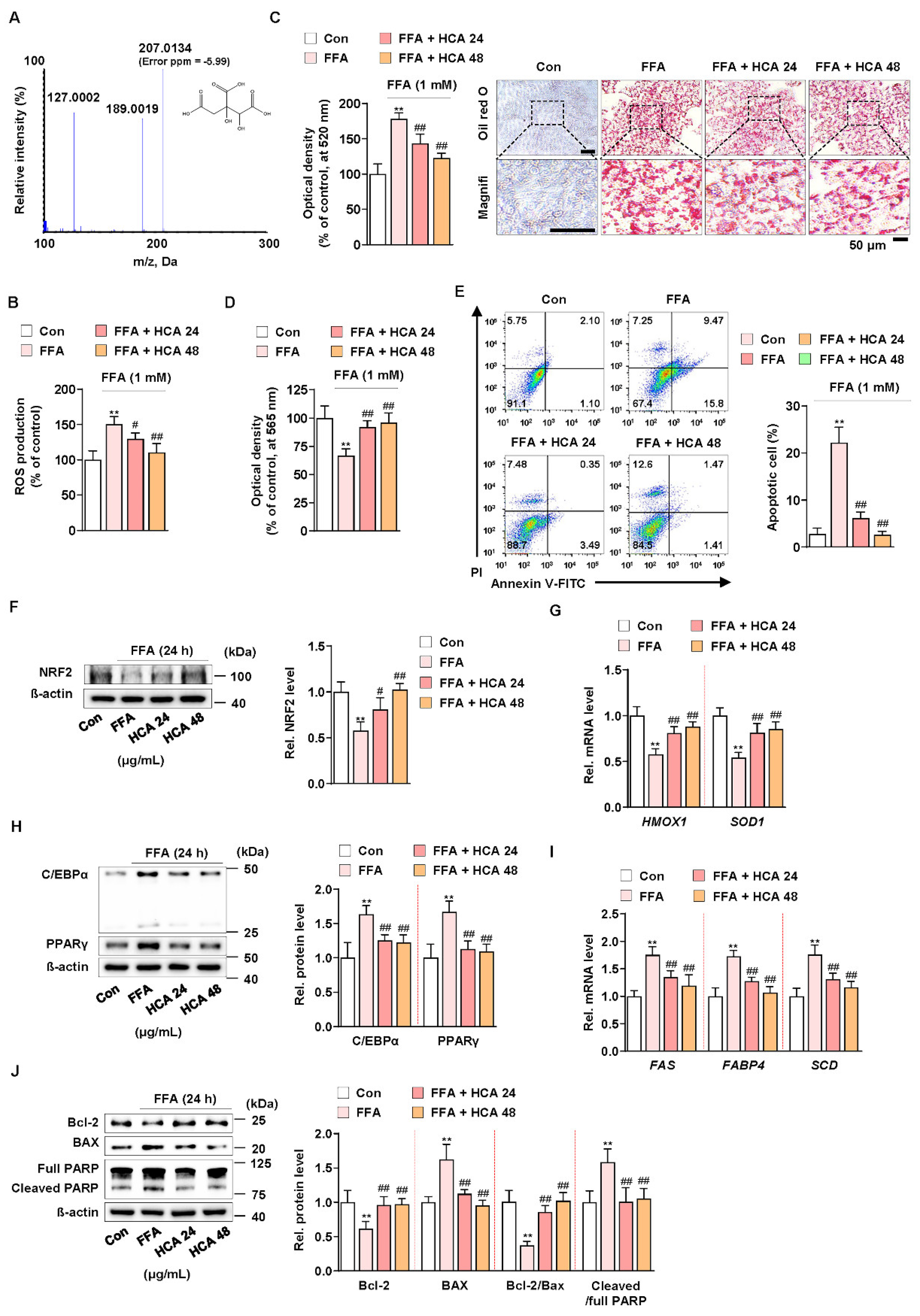 Antioxidants 10 01226 g005