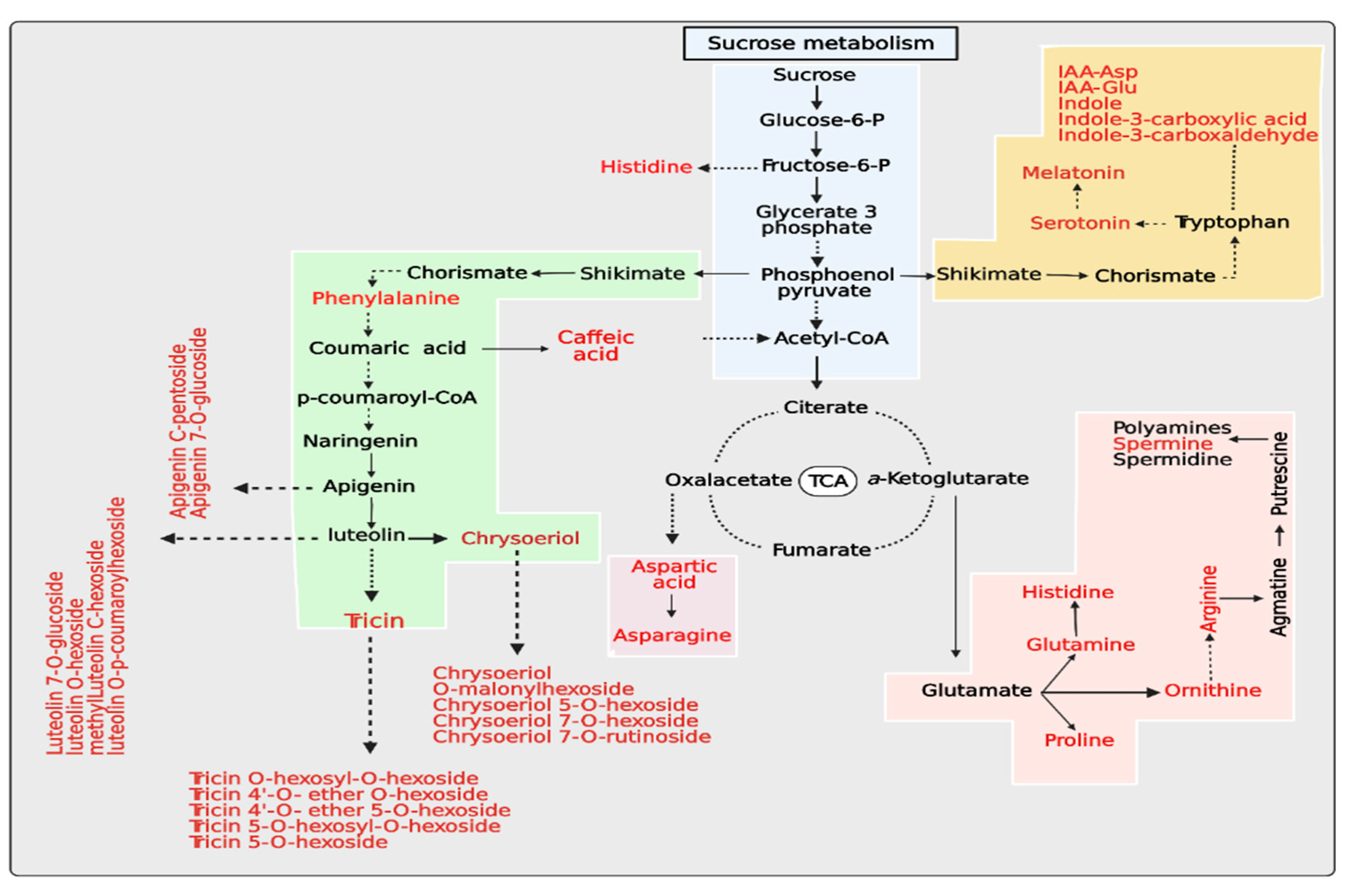 Antioxidants 10 01227 g008