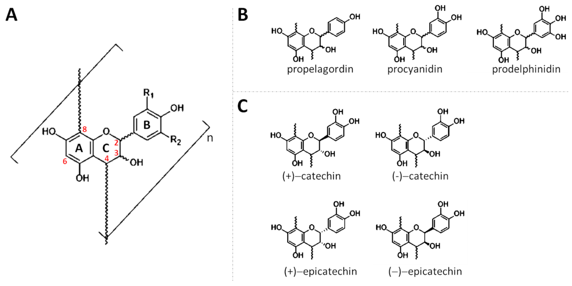 Antioxidants 10 01229 g001