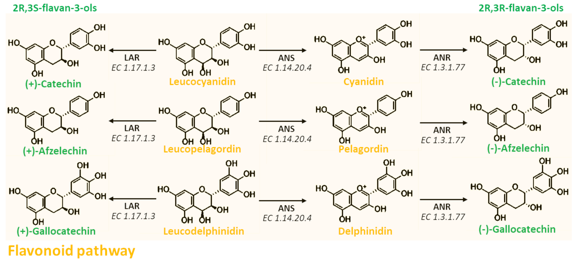 Antioxidants 10 01229 g006