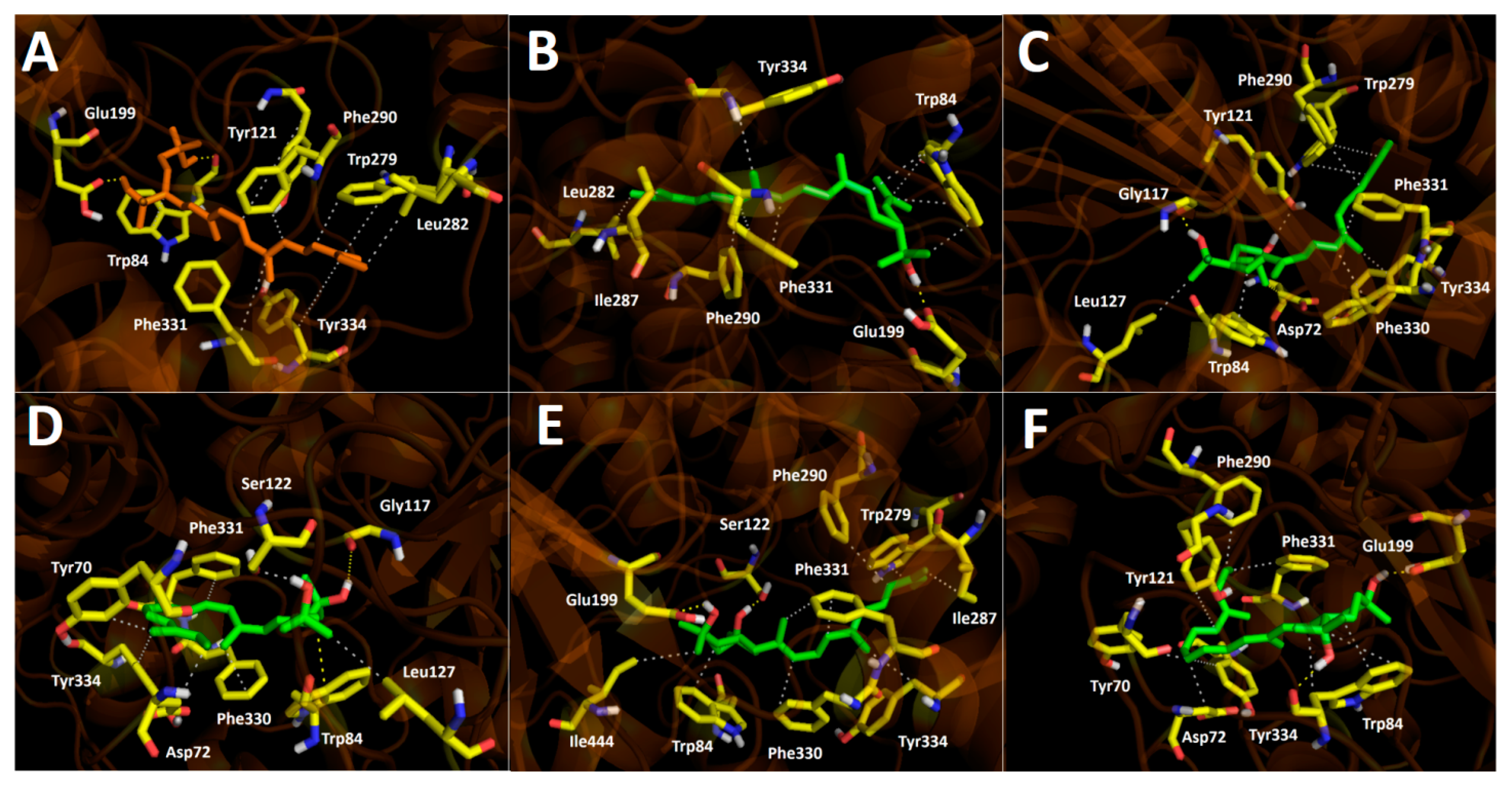 Antioxidants 10 01230 g009
