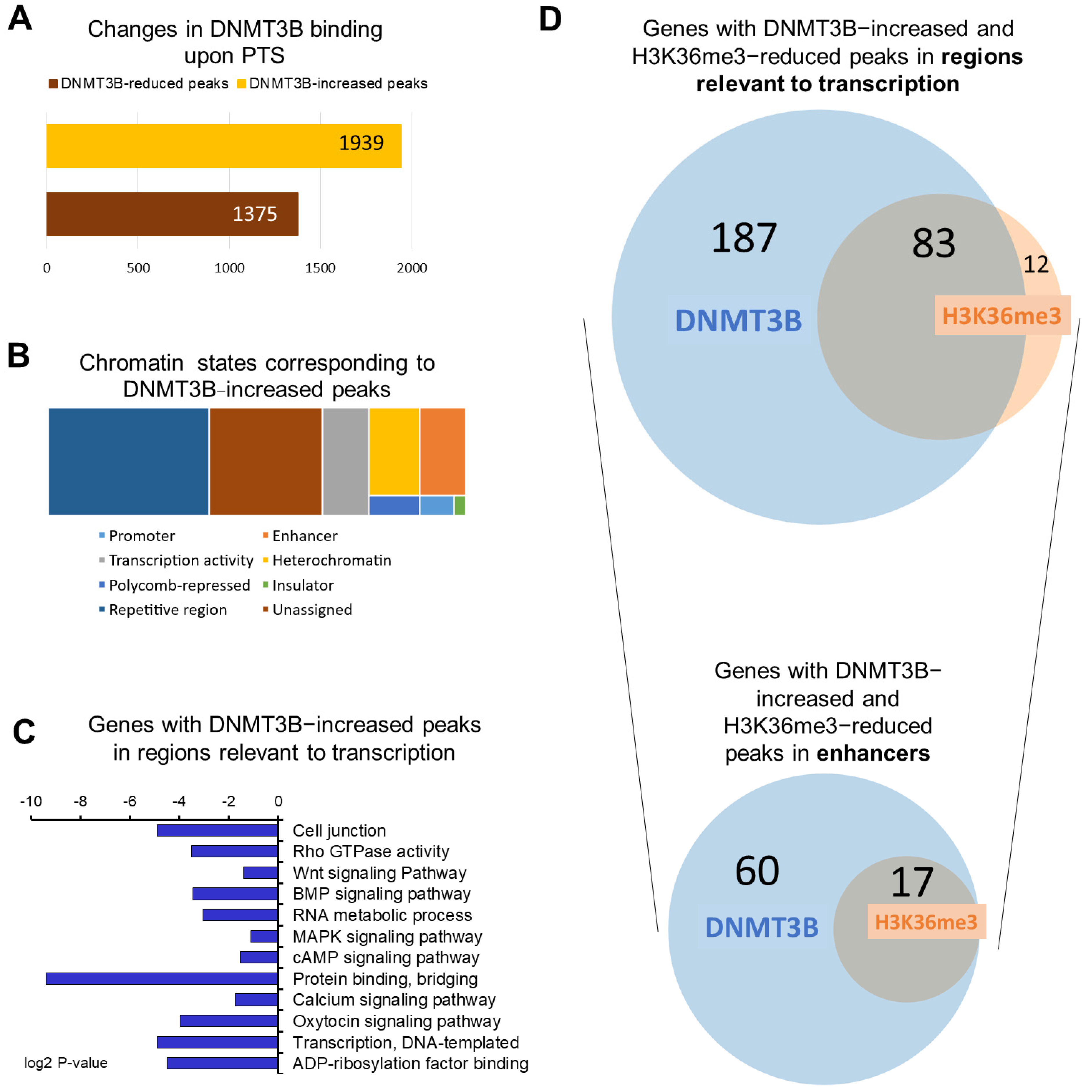Antioxidants 10 01232 g001