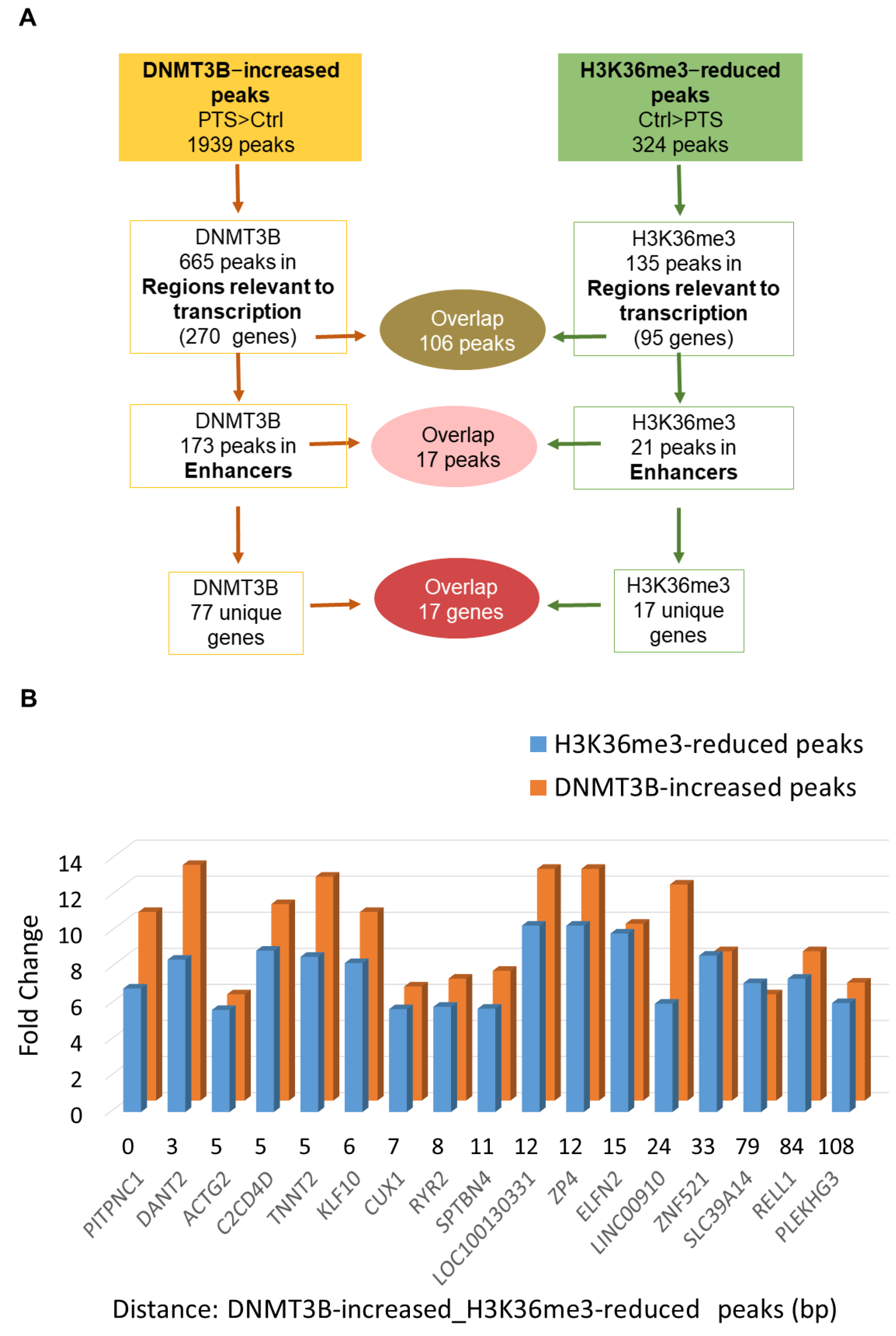 Antioxidants 10 01232 g002