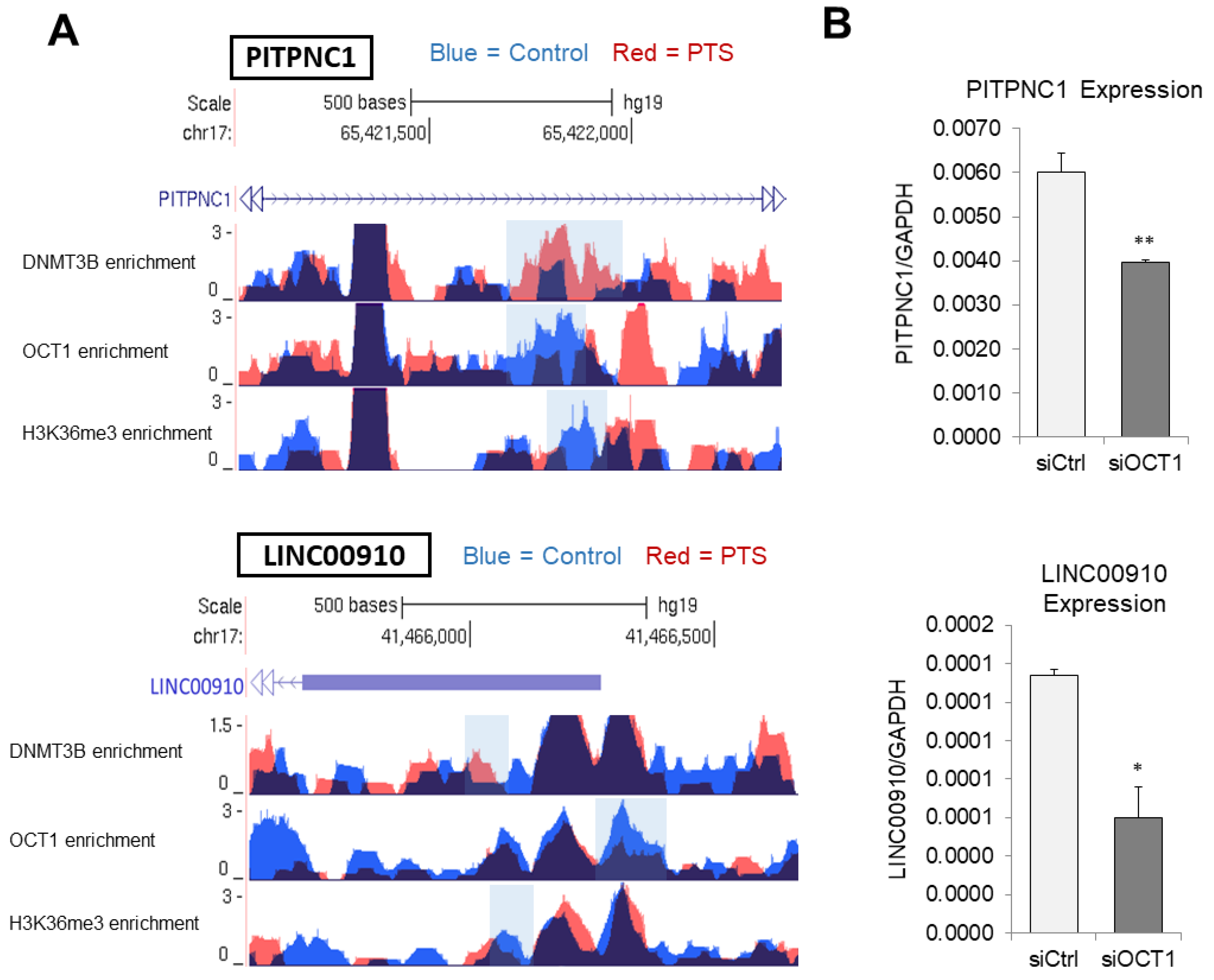 Antioxidants 10 01232 g004