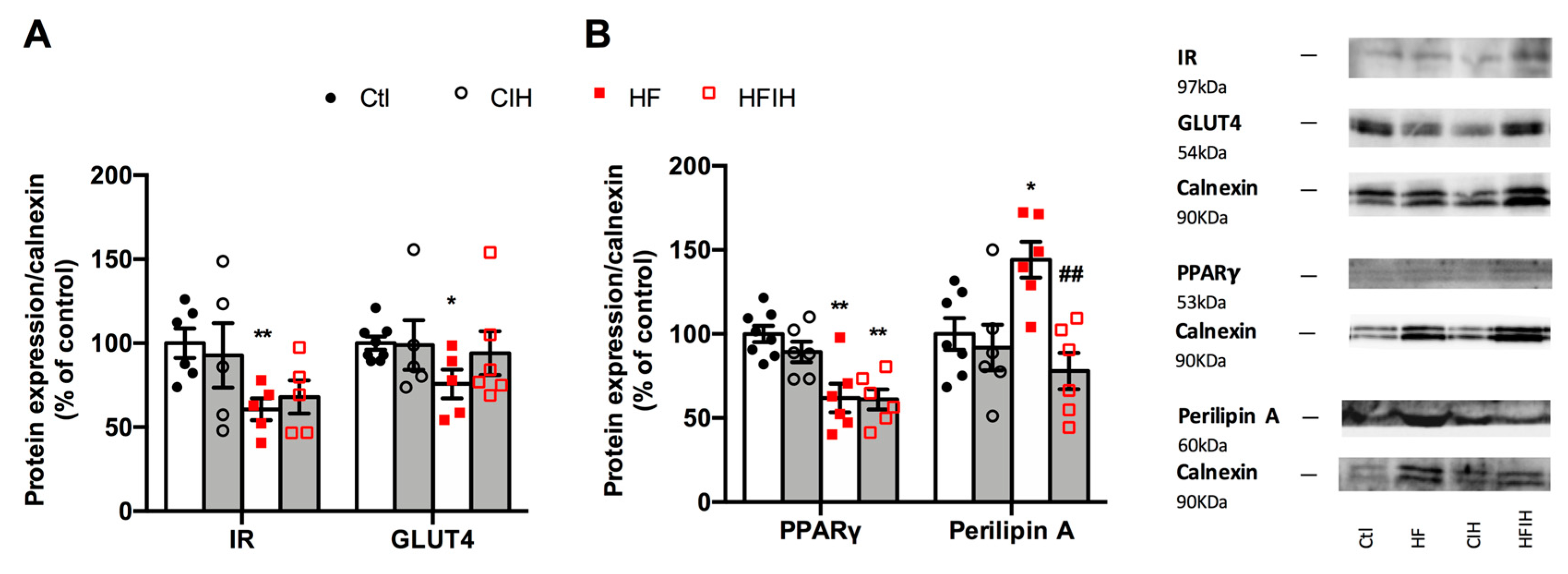 Antioxidants 10 01233 g007