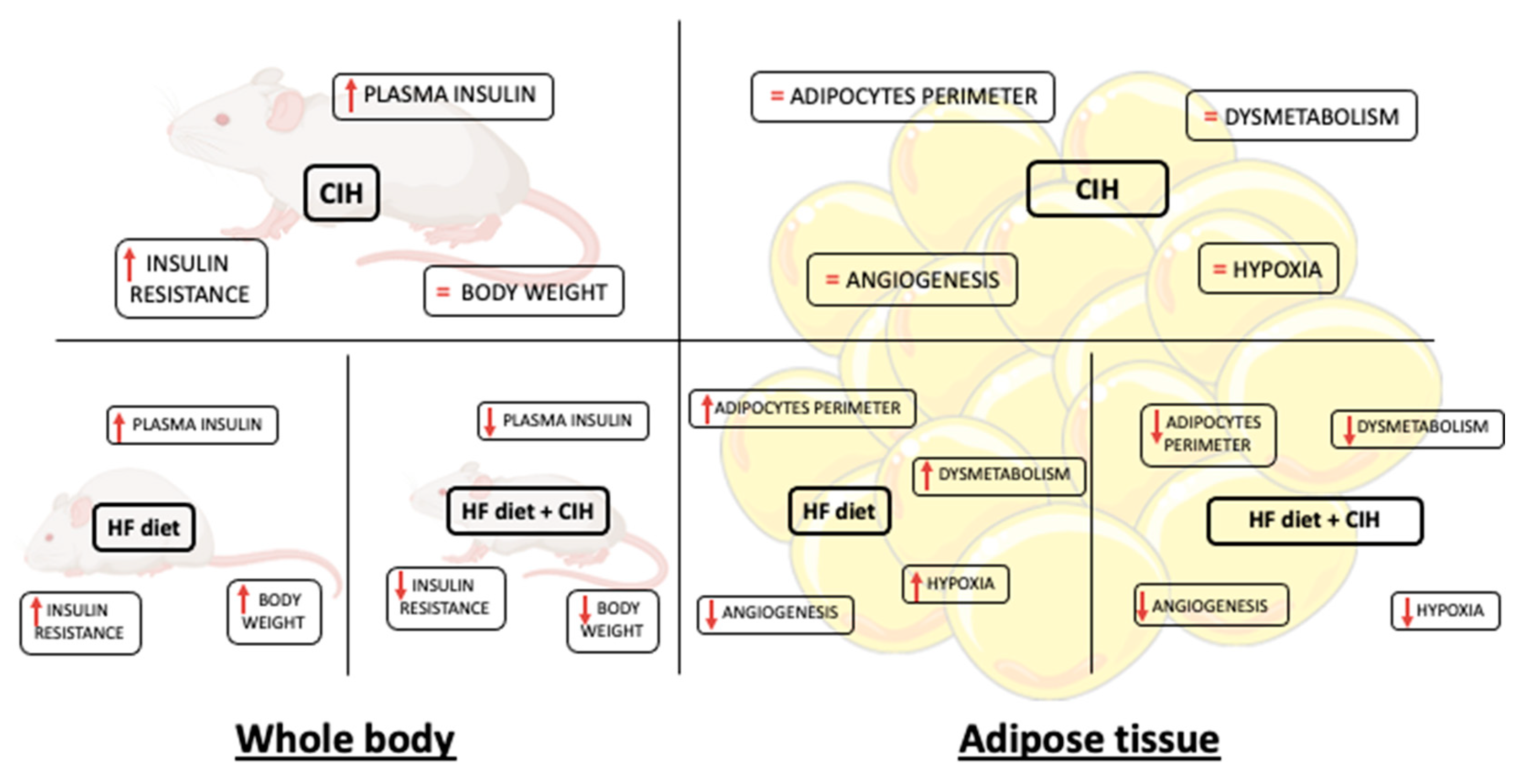 Antioxidants 10 01233 g008