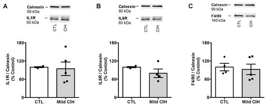 Antioxidants 10 01233 g0a1