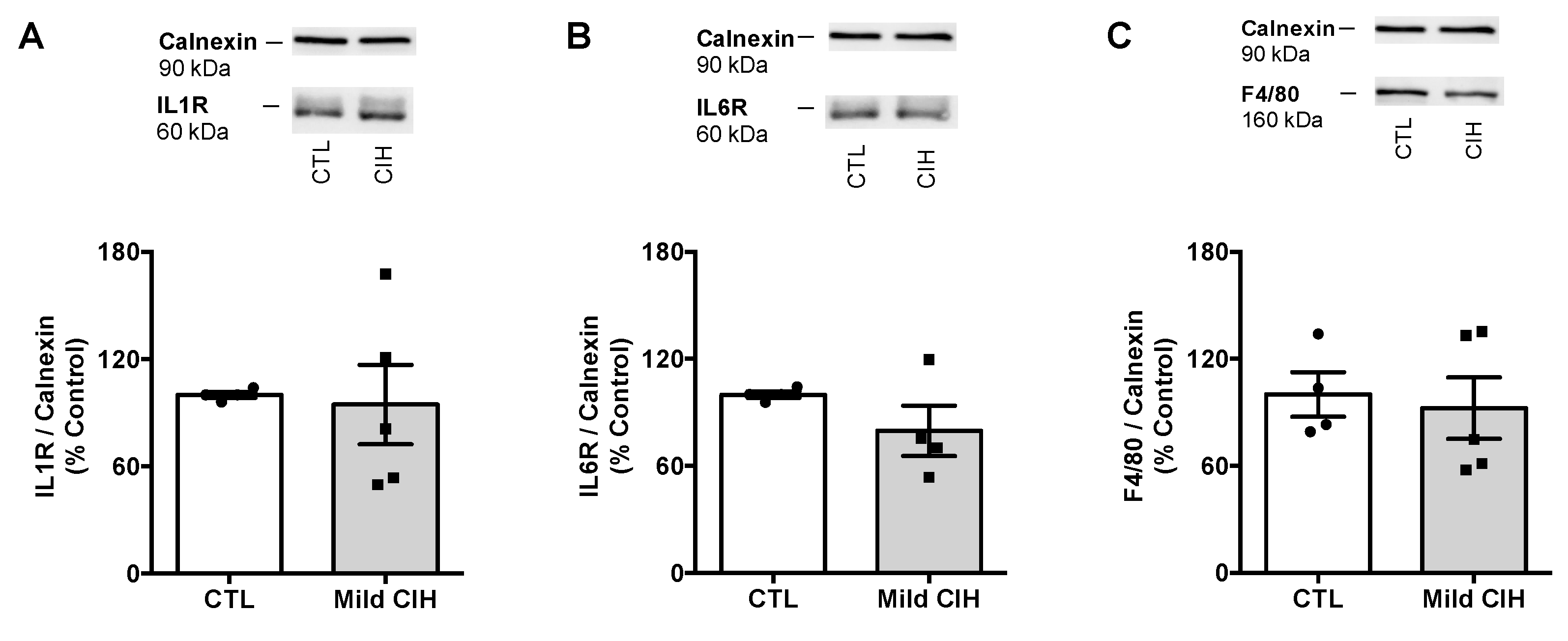 Antioxidants 10 01233 g0a1