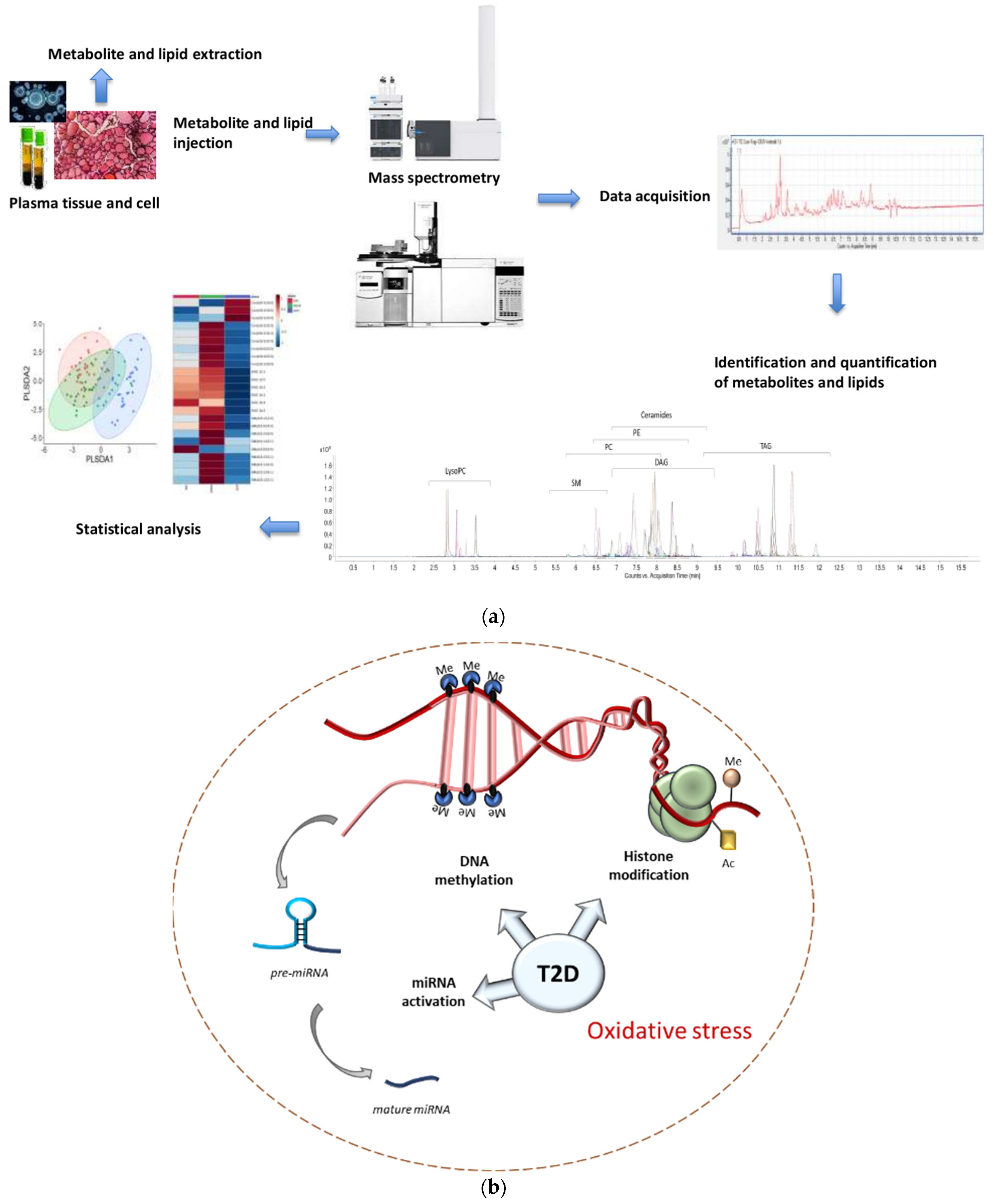 Antioxidants 10 01234 g001