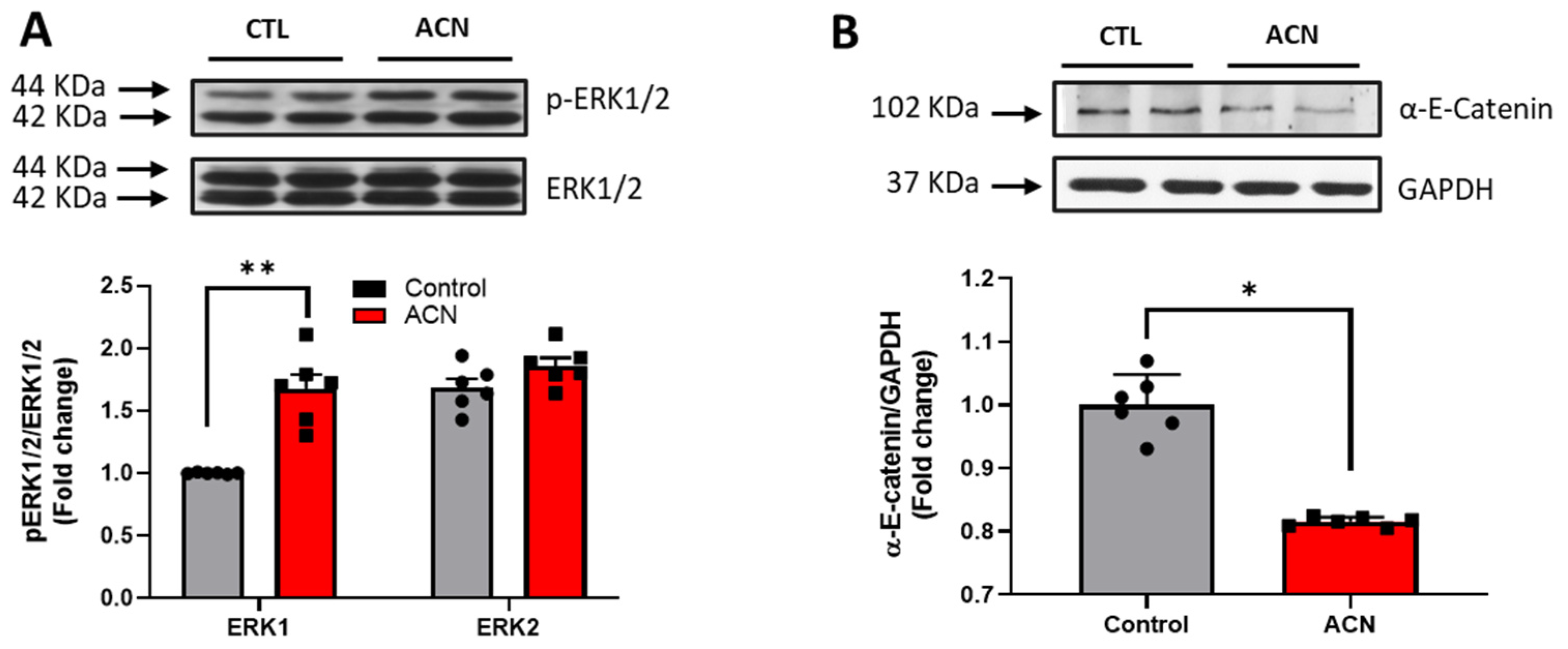 Antioxidants 10 01235 g003a Antioxidants 10 01235 g003a